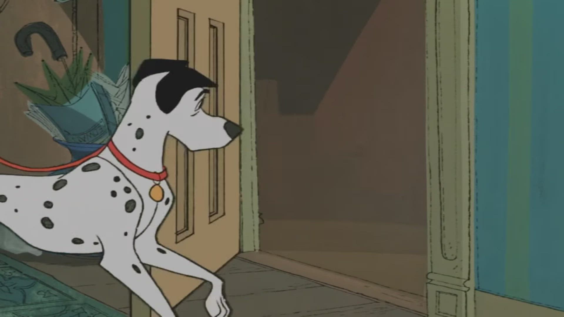 1920x1080 Dalmatians / Video Examples