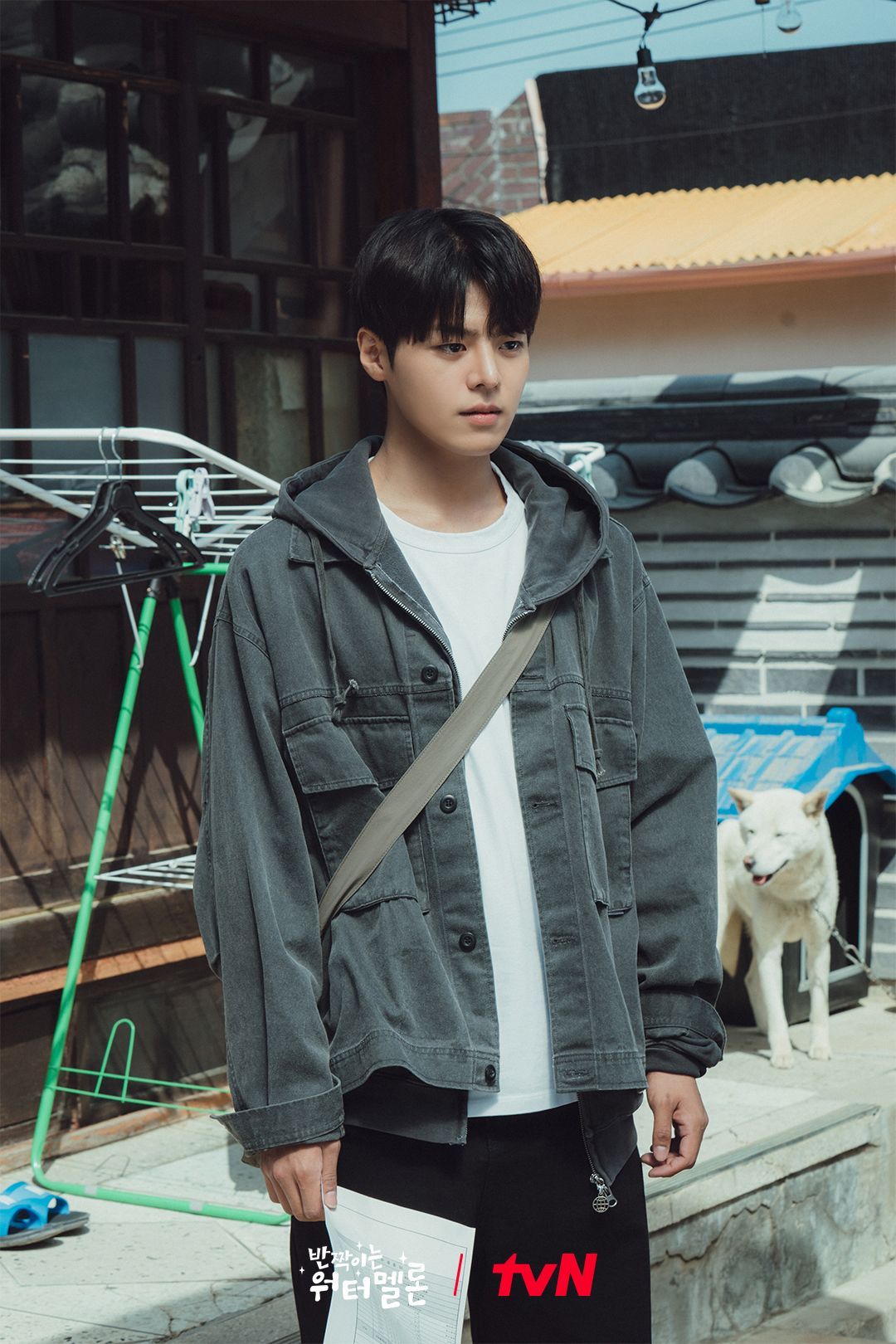 1080x1620 Drama 2023 Twinkling Watermelon, 반짝이는 워터멜론-dramas & movies