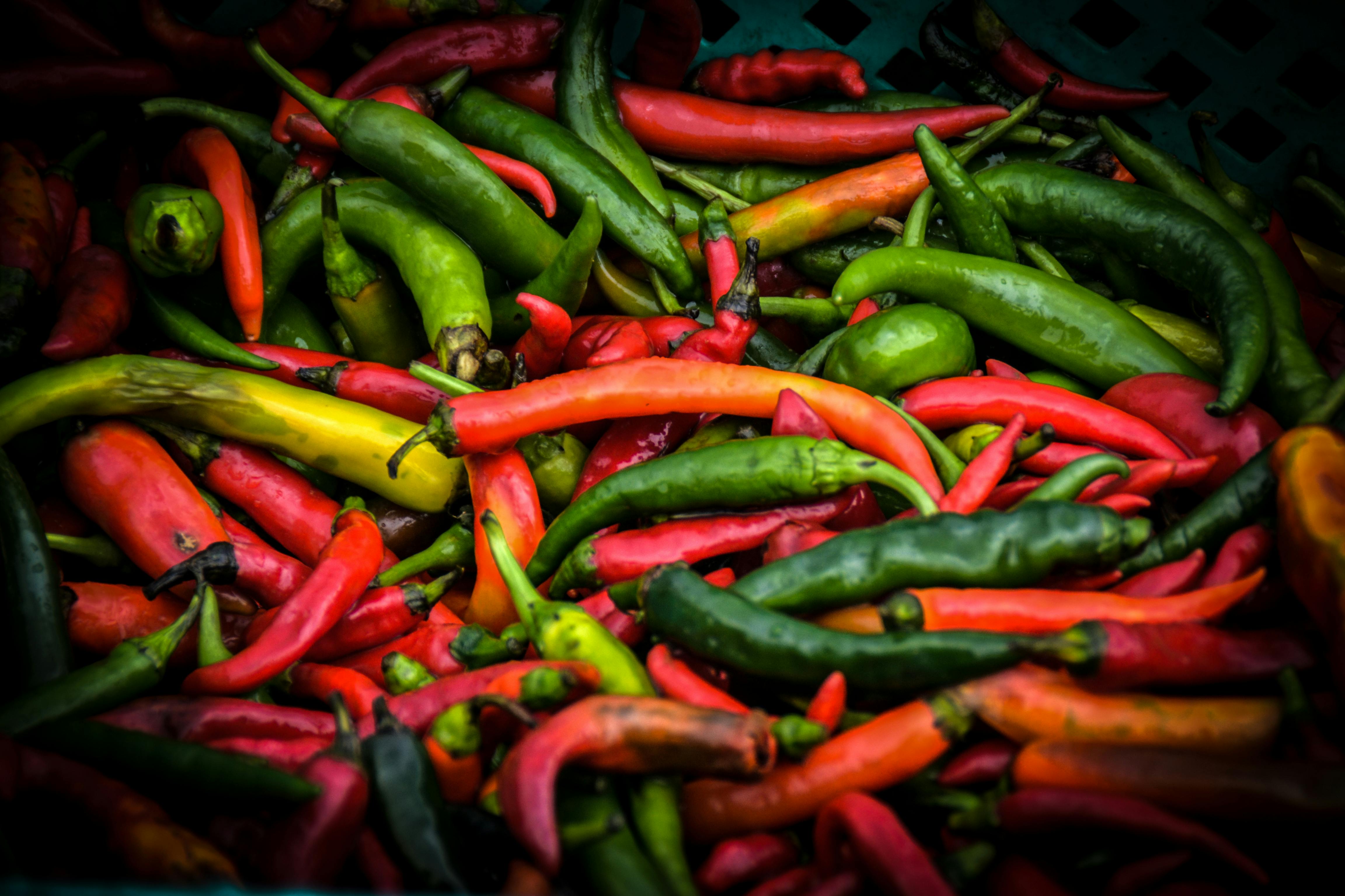 4608x3072 Spicy Food Photo, Download The BEST Free Spicy Food & HD Image