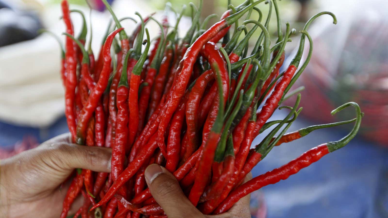 Spicy Food Wallpapers - Top Free Spicy Food Backgrounds - WallpaperAccess