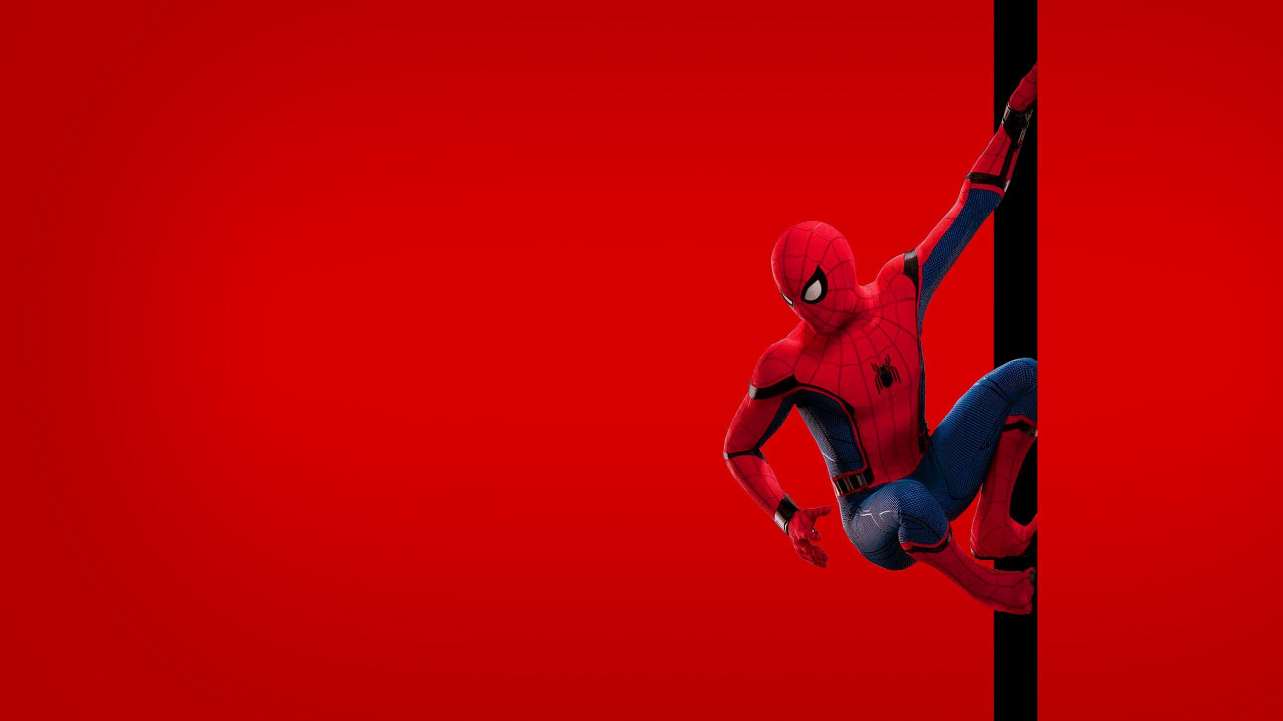 2560x1440 Spider Man Homecoming Wallpaper background picture