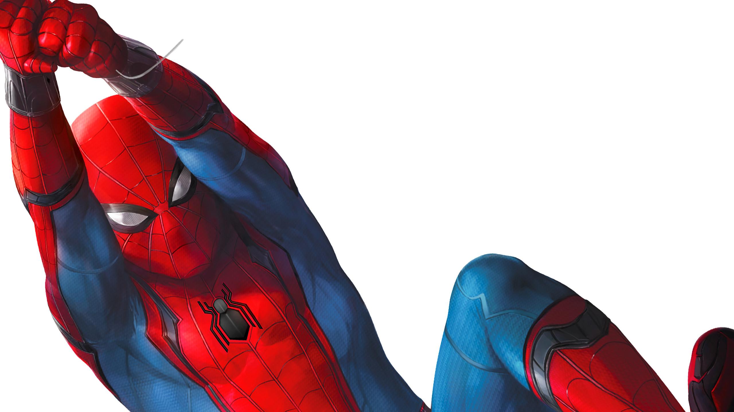 2560x1440 Spider Man Homecoming Wallpaper