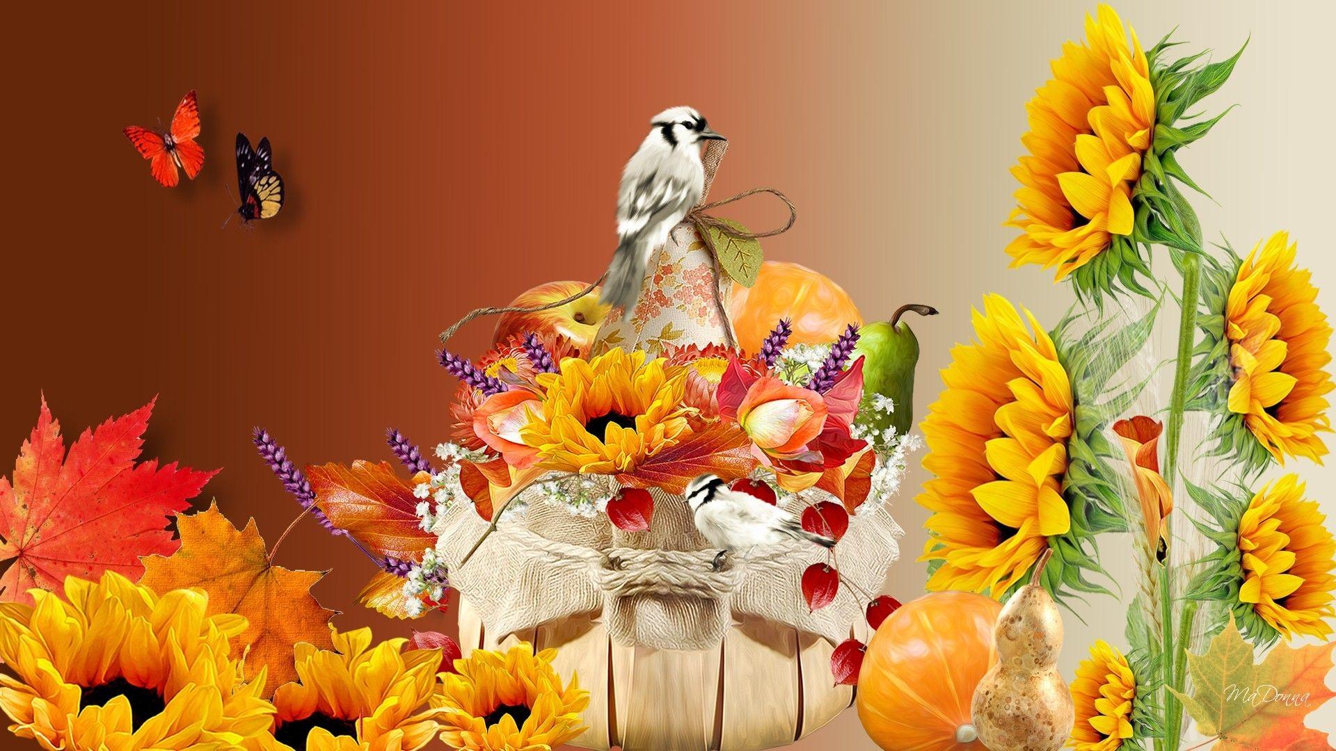 1920x1080 Flowers: Autumn Calling Calls Harvest Grass Birds Food Fleurs Gourd