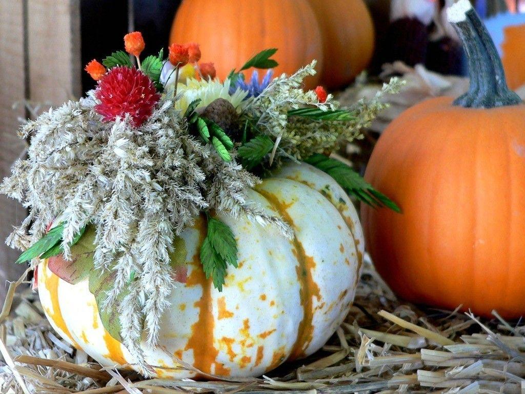 1024x768 Thanksgiving Tag wallpaper: Thanksgiving Season Flowers Colorful