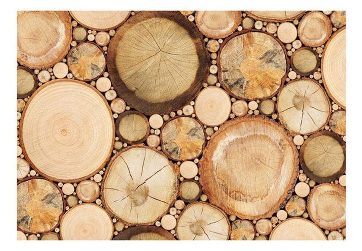 1200x832 Best Selling Wallpaper Wall Murals Fast US Shipping