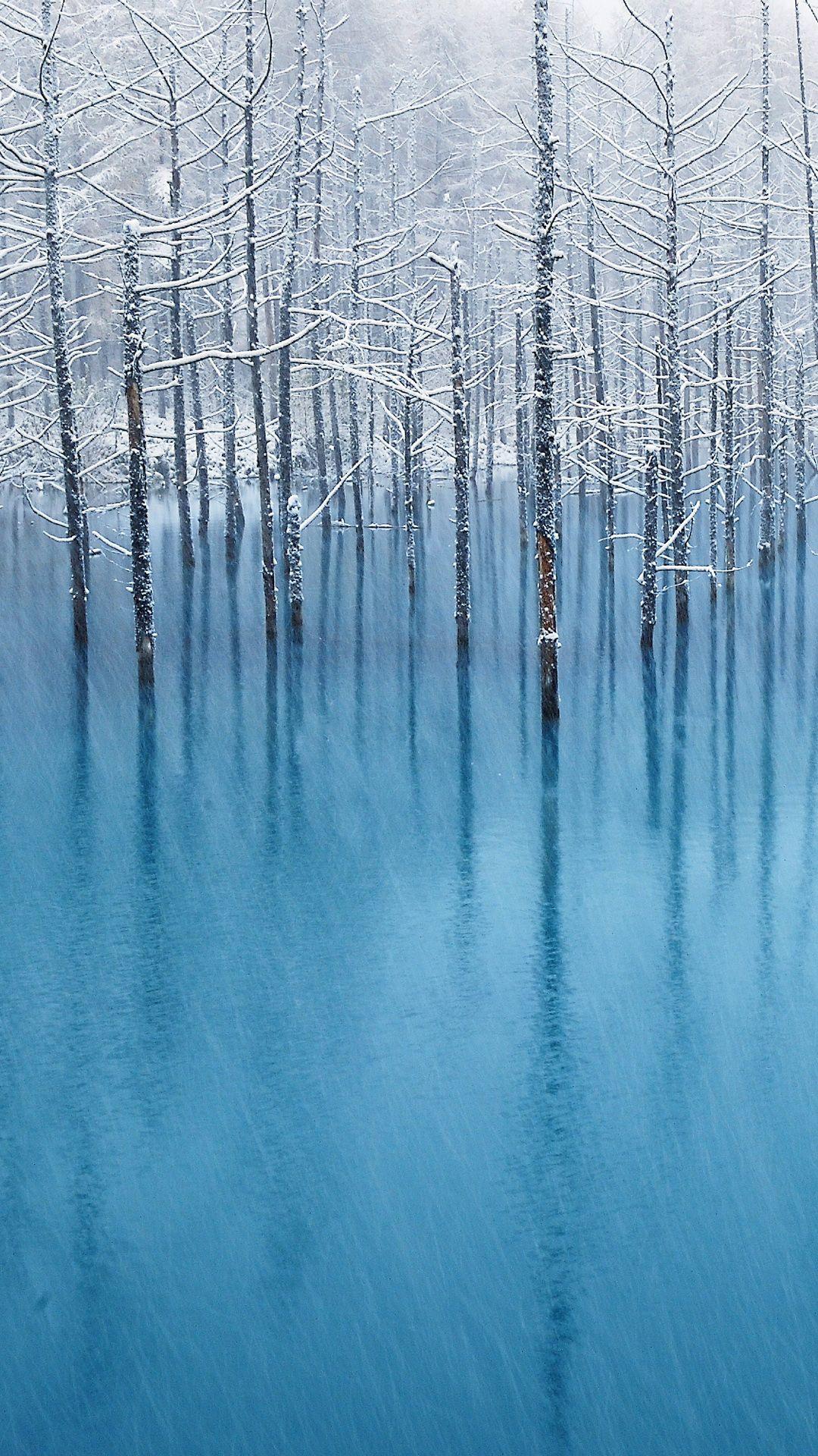 1080x1920 Winter trees HTC HD wallpaper htc one wallpaper
