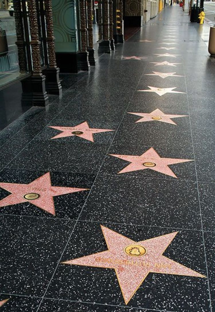 750x1087 walk of fame⭐️. Walk of fame, Hollywood glamour decor, Walk idea