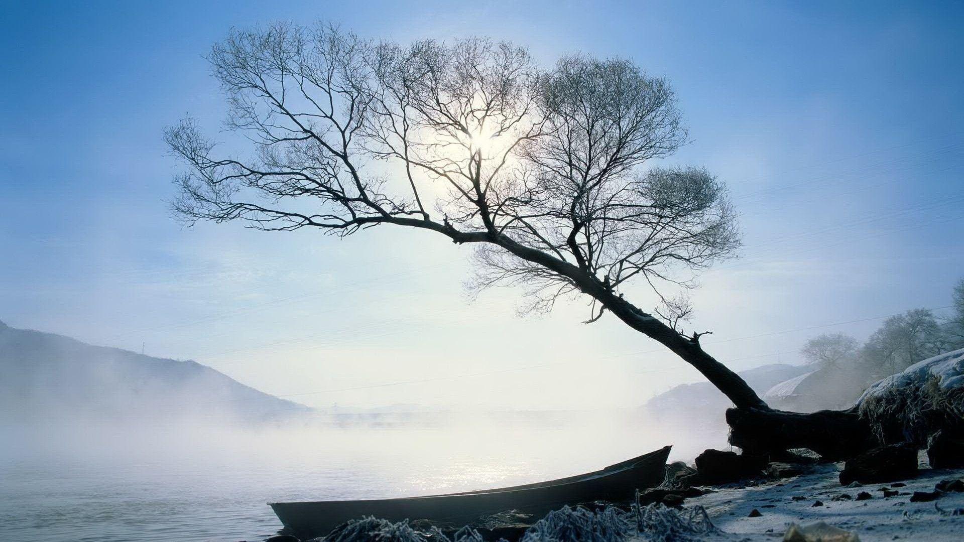 1920x1080 Winter Tree Wallpaper