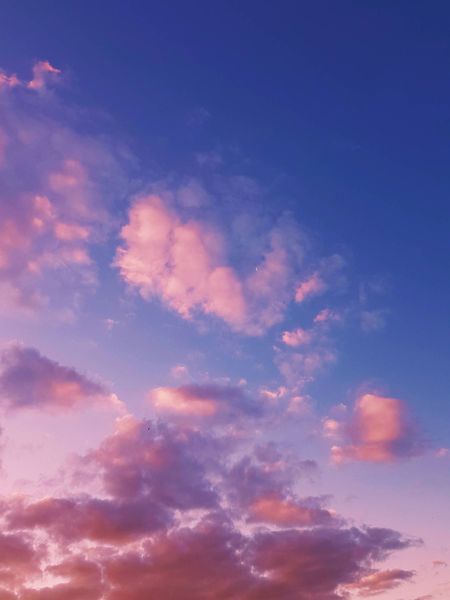 1440x1920 Pastel Wallpaper