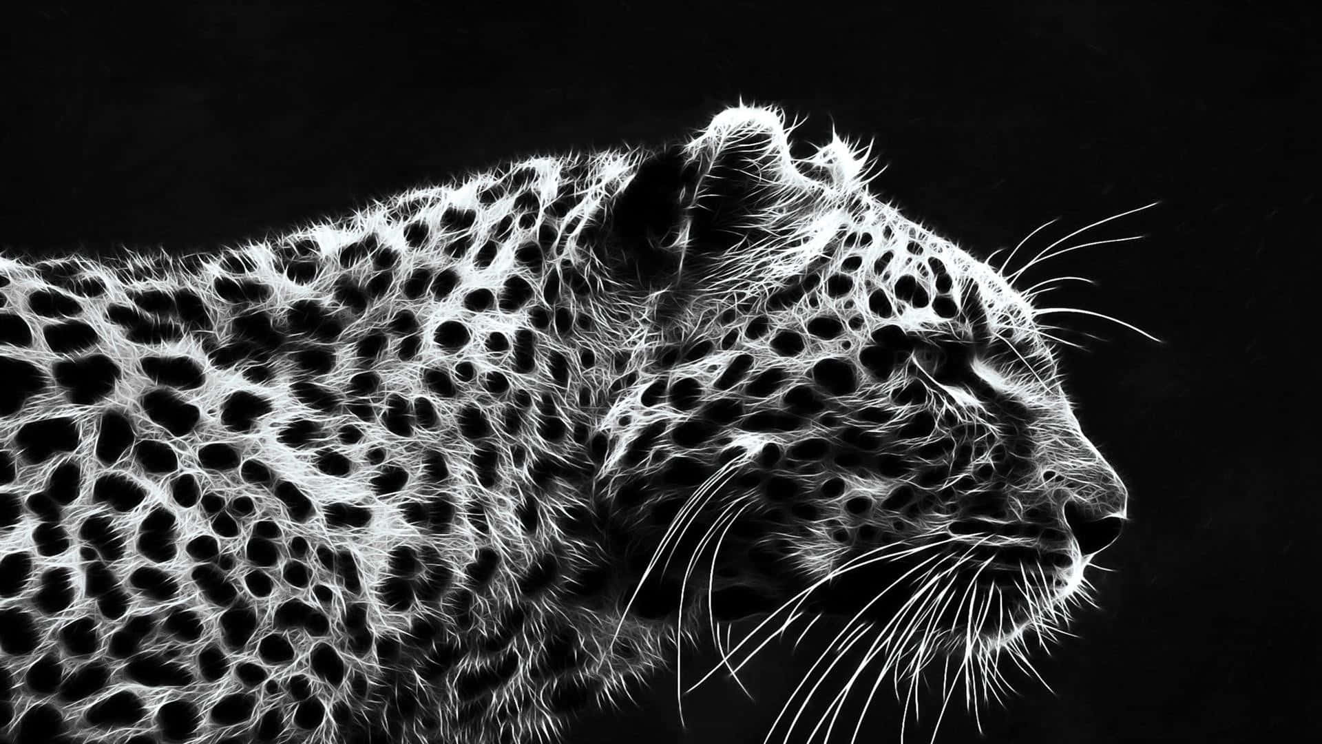 1920x1080 Dark Animals Wallpaper