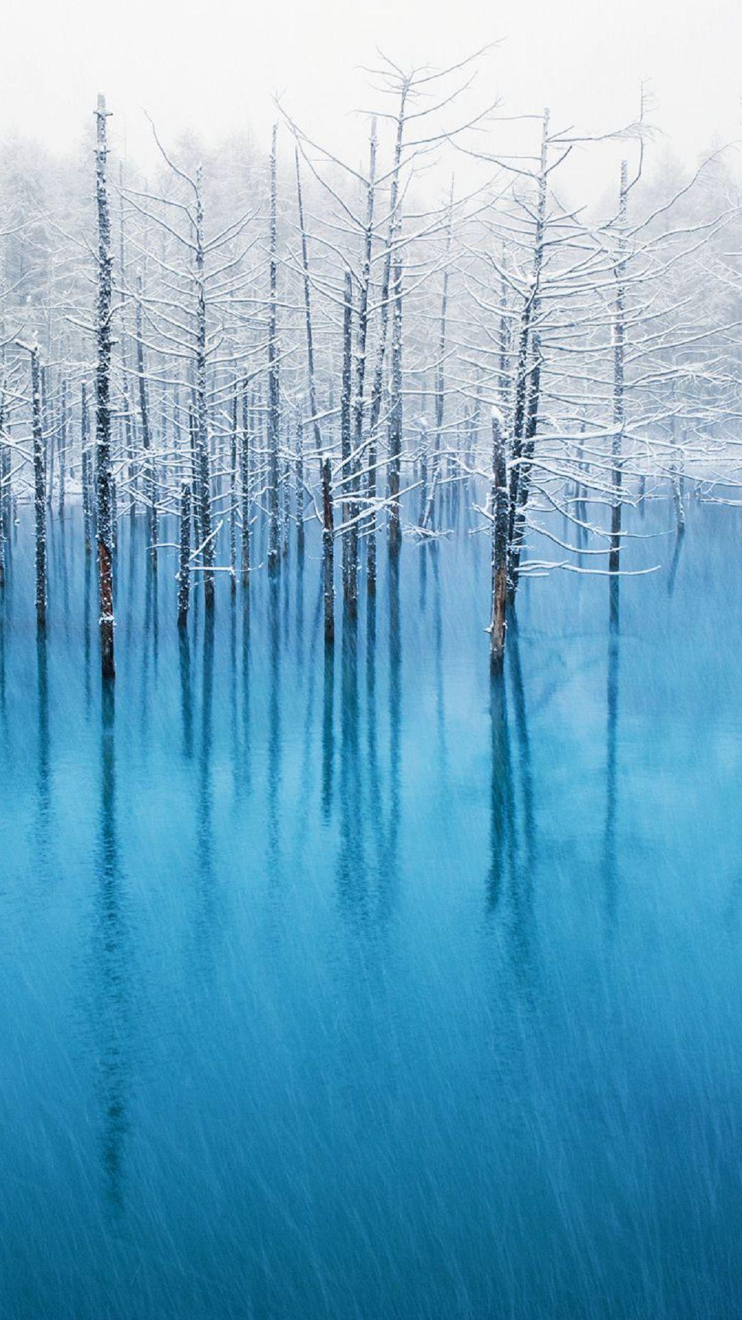 1080x1920 Winter Trees Lake iPhone6s Wallpaper. Winter Wallpaper!. Ios 7
