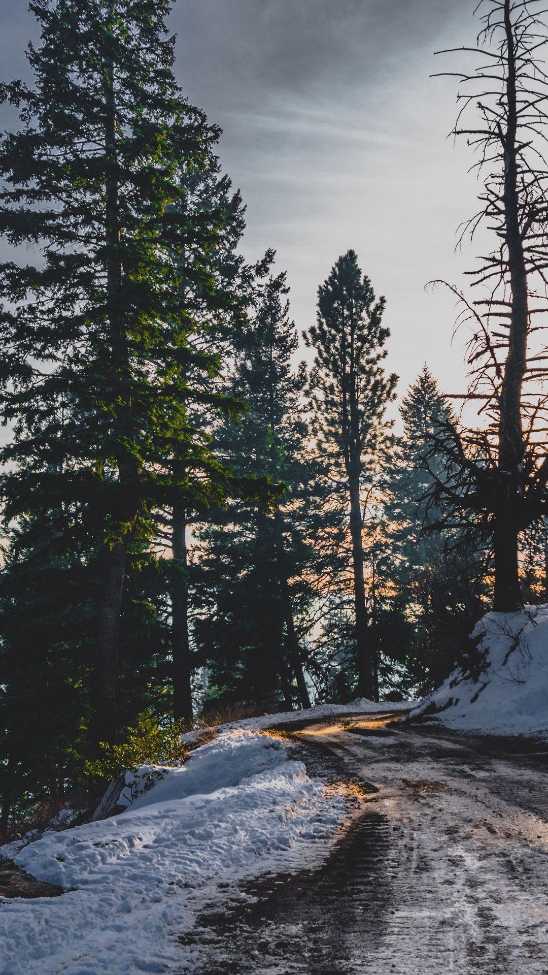 1080x1920 Download wallpaper 1080x1920 snow, winter, trees, road samsung