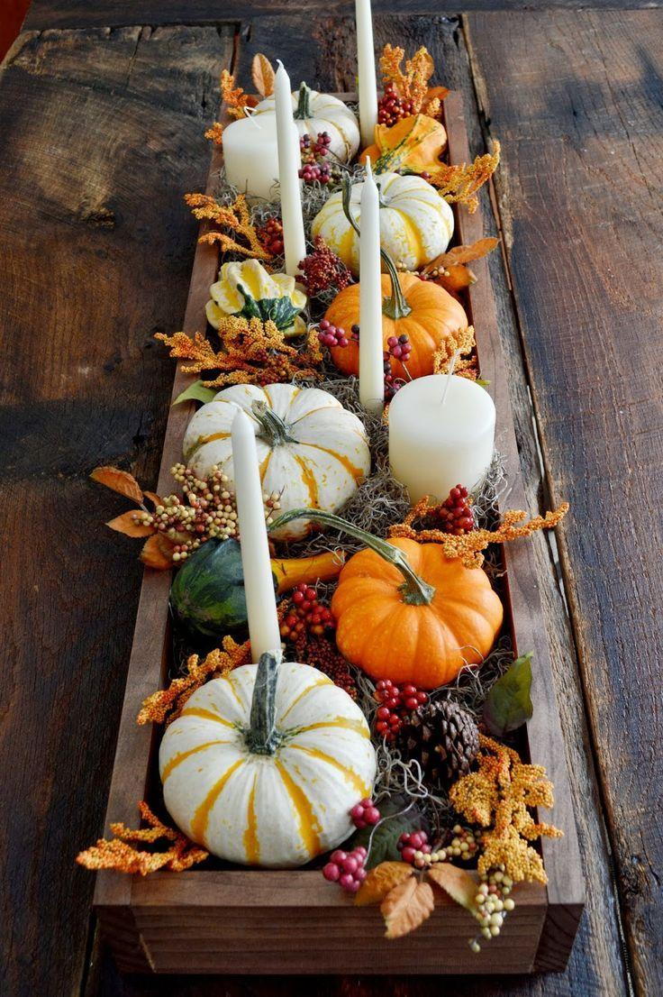 736x1106 best THANKSGIVING image. Funny animal, Funny