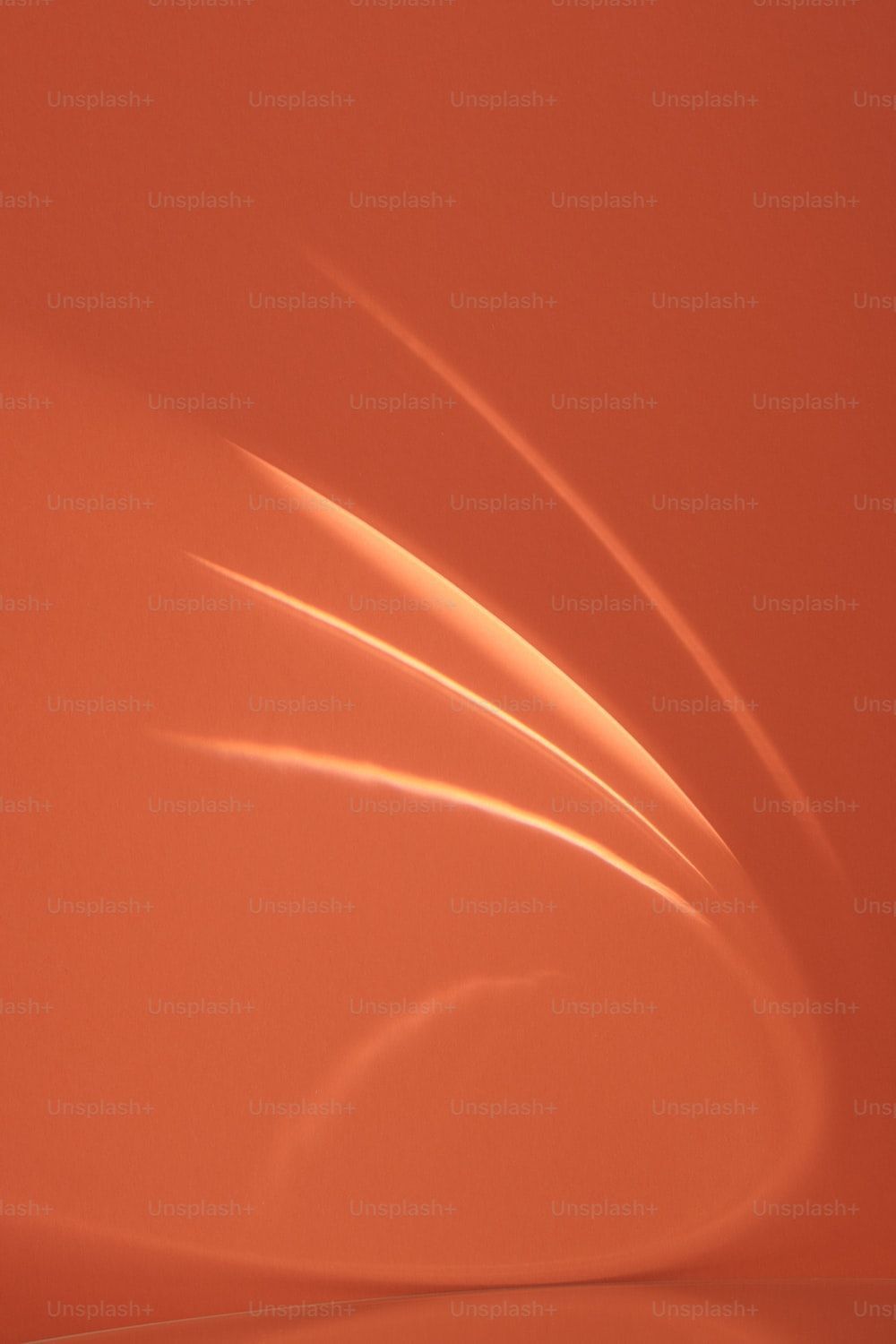 1000x1500 1K+ Orange Color Picture. Download Free Image