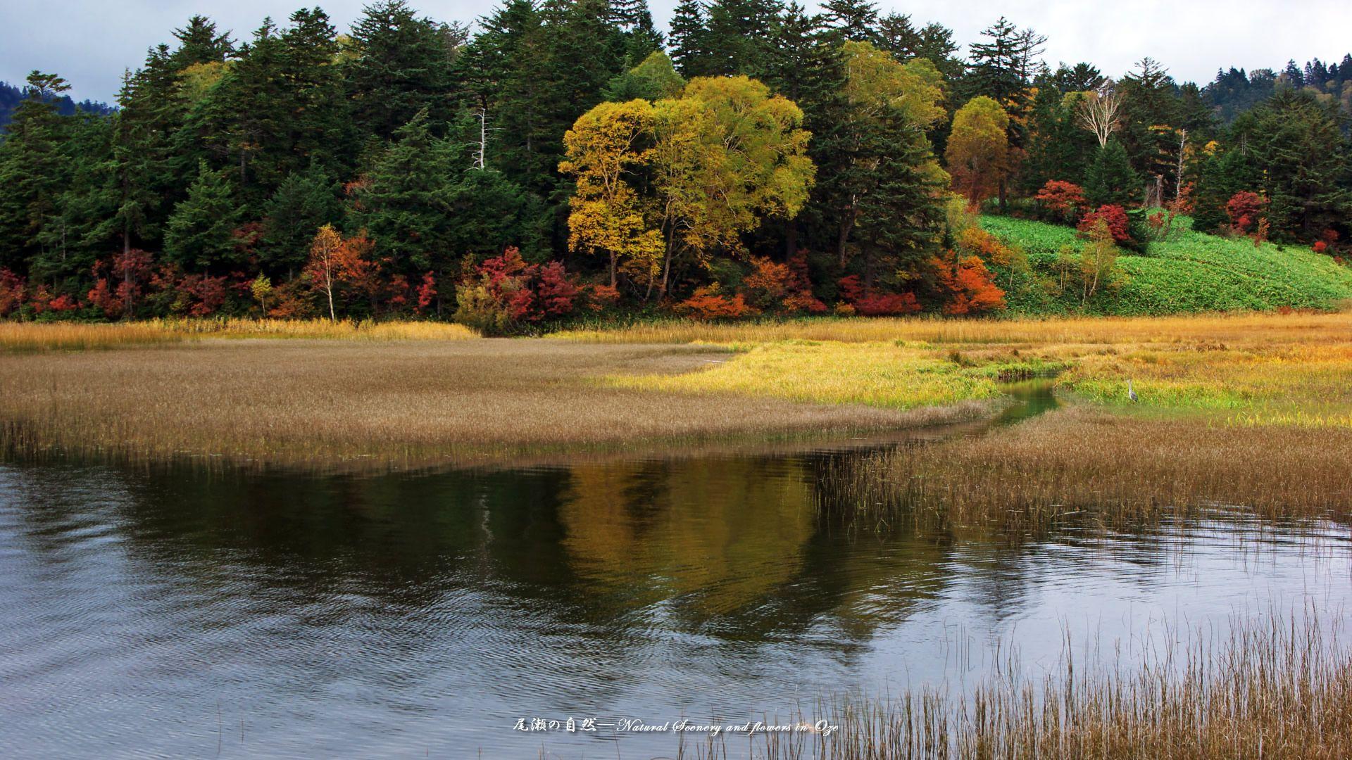 1920x1080 Nature Wallpaper 1920x1080