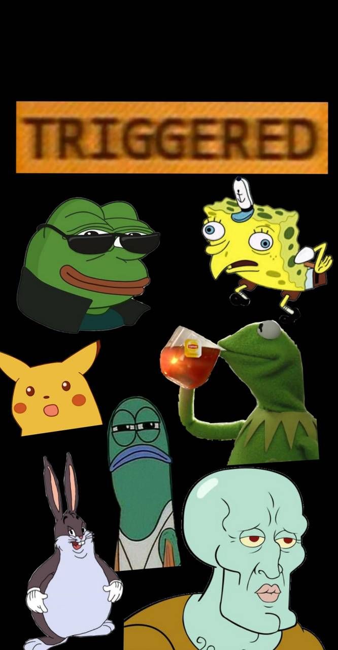 666x1280 Best Free Funny Meme Wallpaper