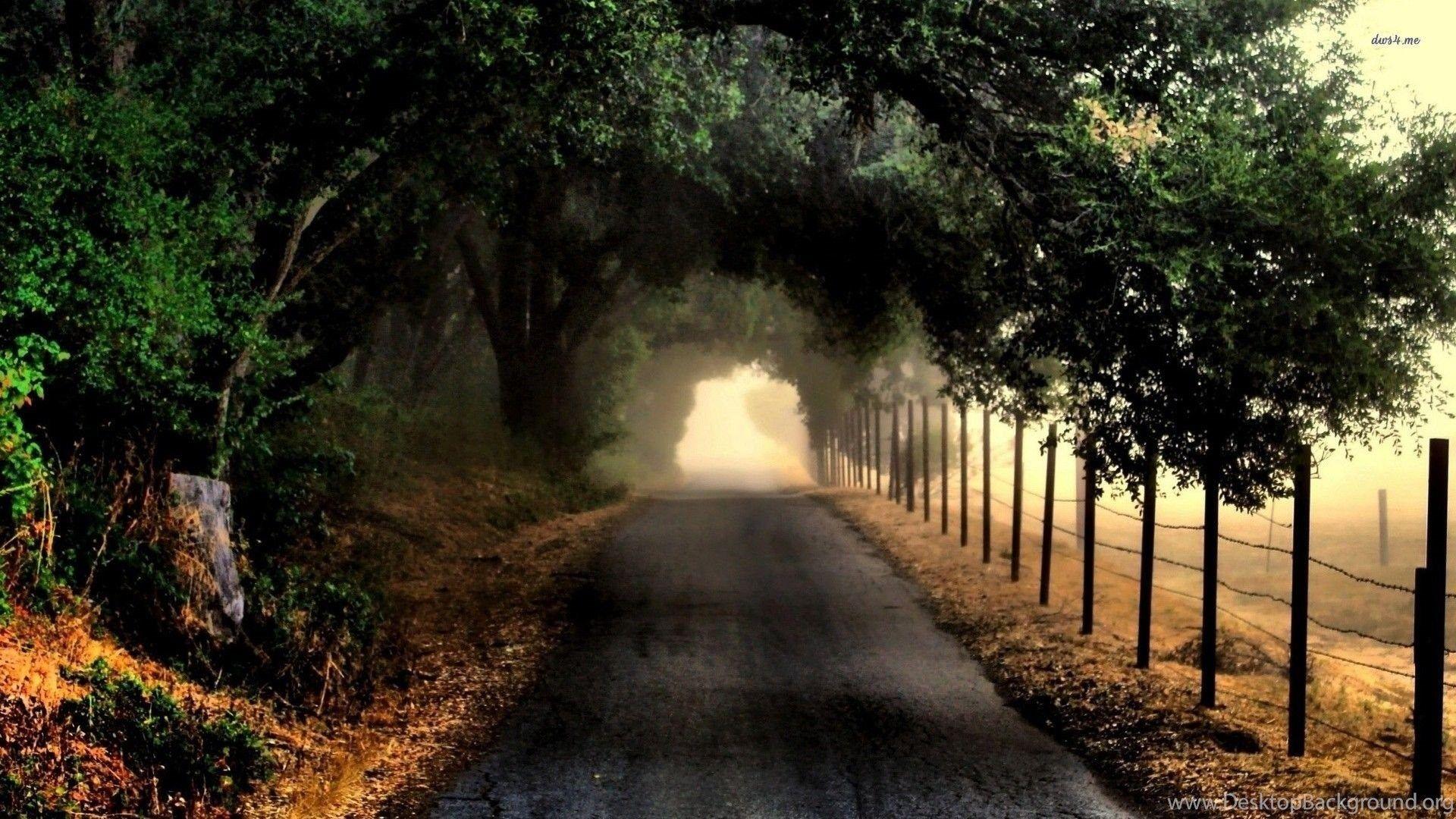 1920x1080 Dark Road, Tree, Fence, Nature, 1920x1080 HD Wallpaper And FREE