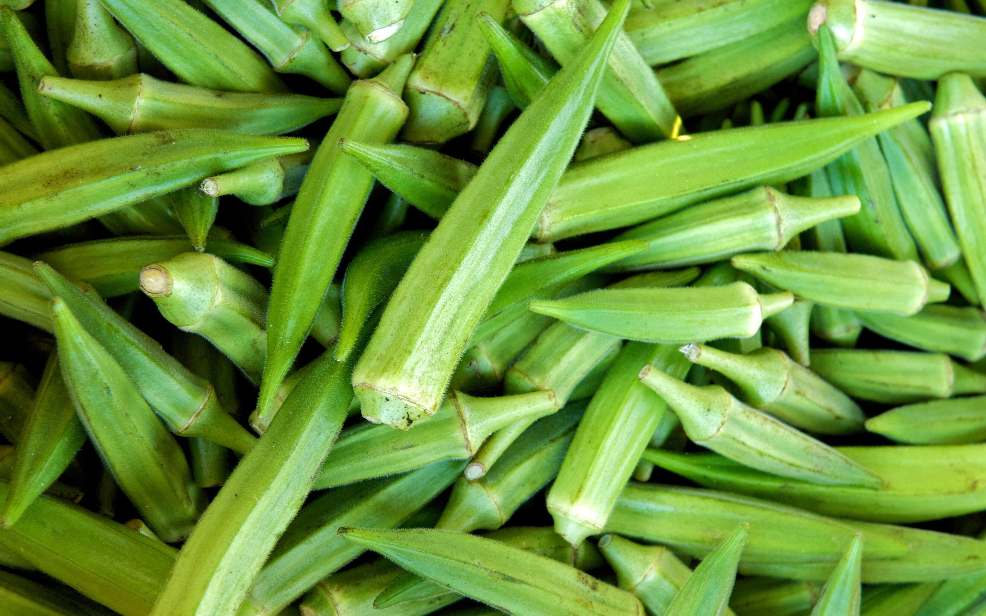 Okra Wallpapers - Top Free Okra Backgrounds - WallpaperAccess