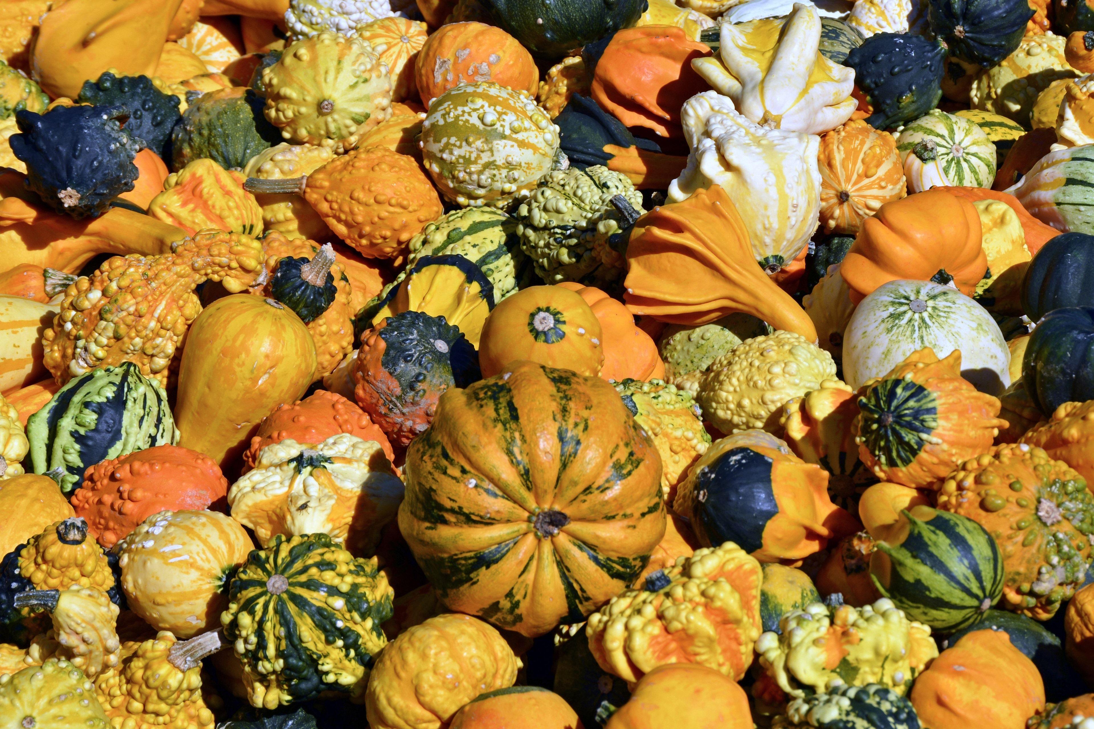 3840x2560 happy halloween signage and orange pumpkin deco free image