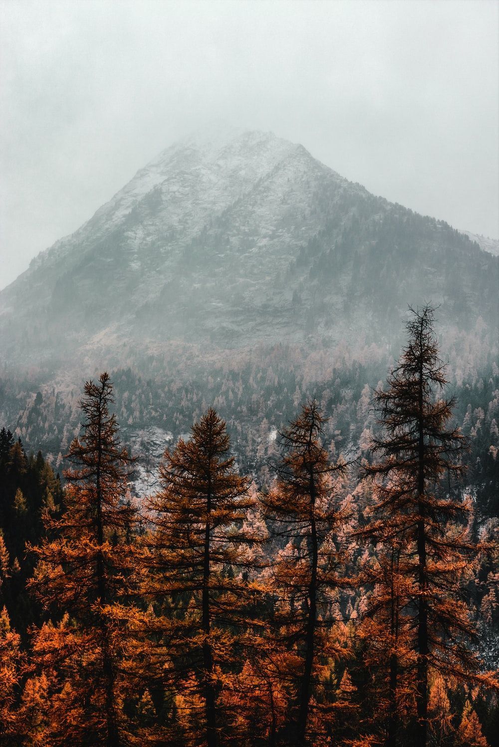 1000x1498 Fall Winter Picture. Download Free Image