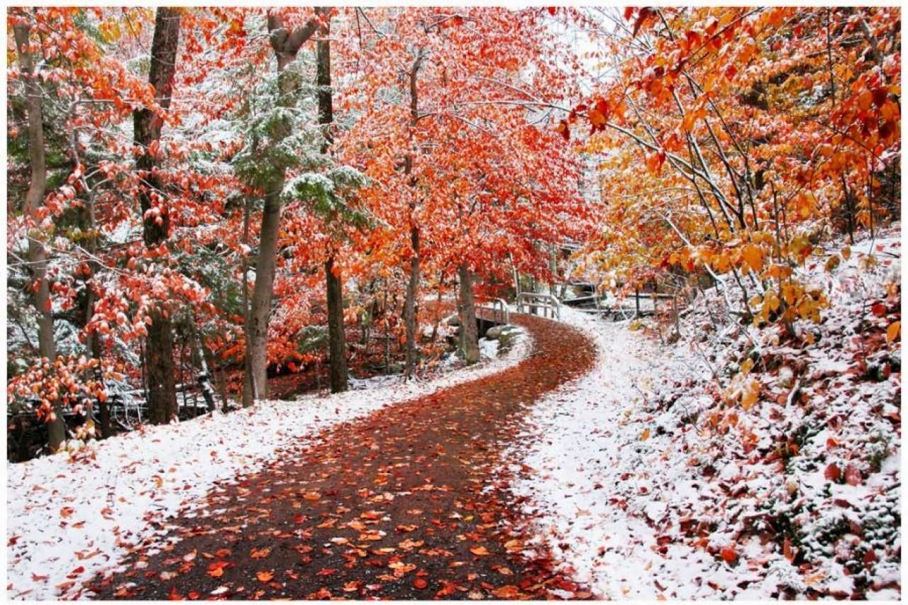 1280x853 Fall Winter Background Wallpaper Fall Winter Wallpaper Jersey Isn't Boring