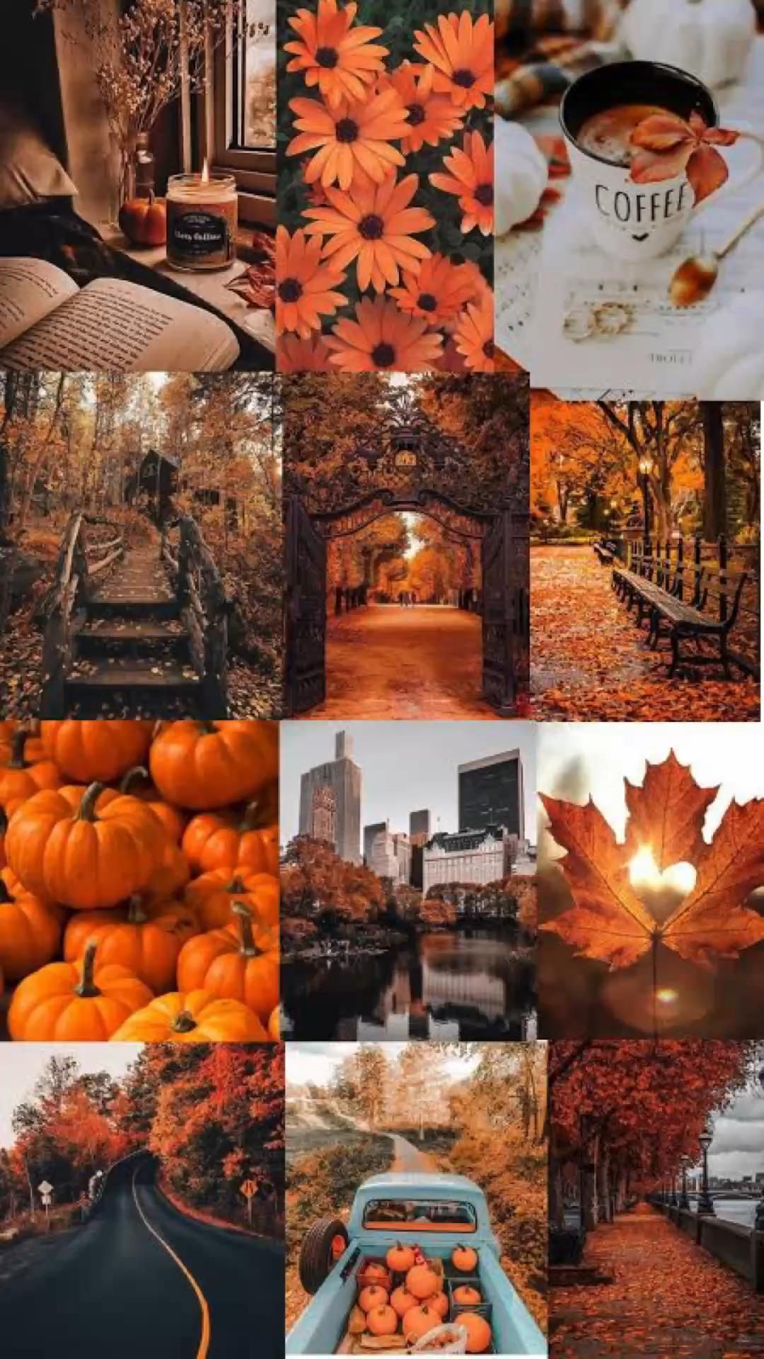 1080x1920 Fall Winter Wallpaper Ideas In 2023. Winter Wallpaper, Fall Wallpaper, Fall