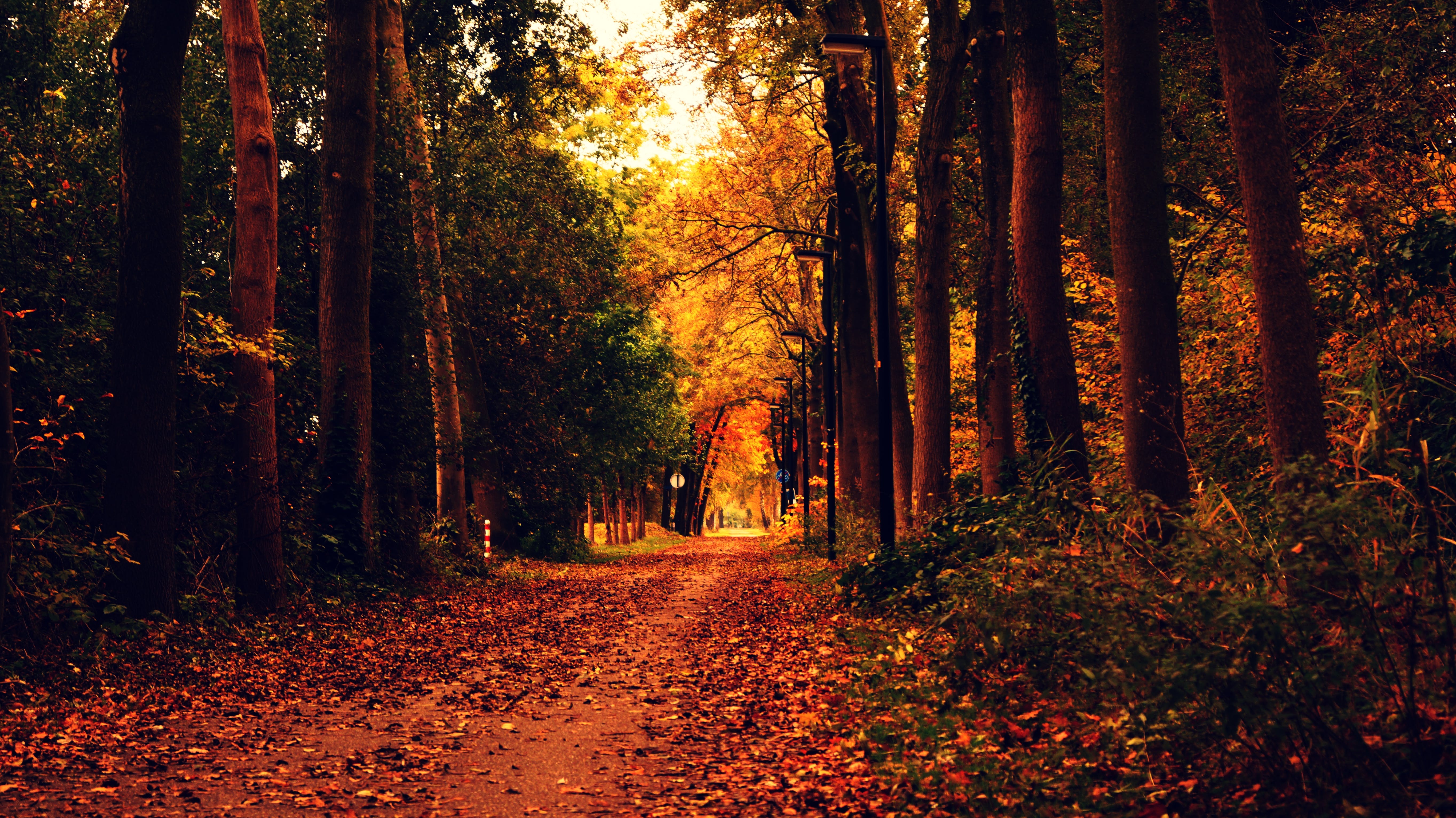 5456x3064 Autumn Wallpaper Photo, Download The BEST Free Autumn Wallpaper & HD Image