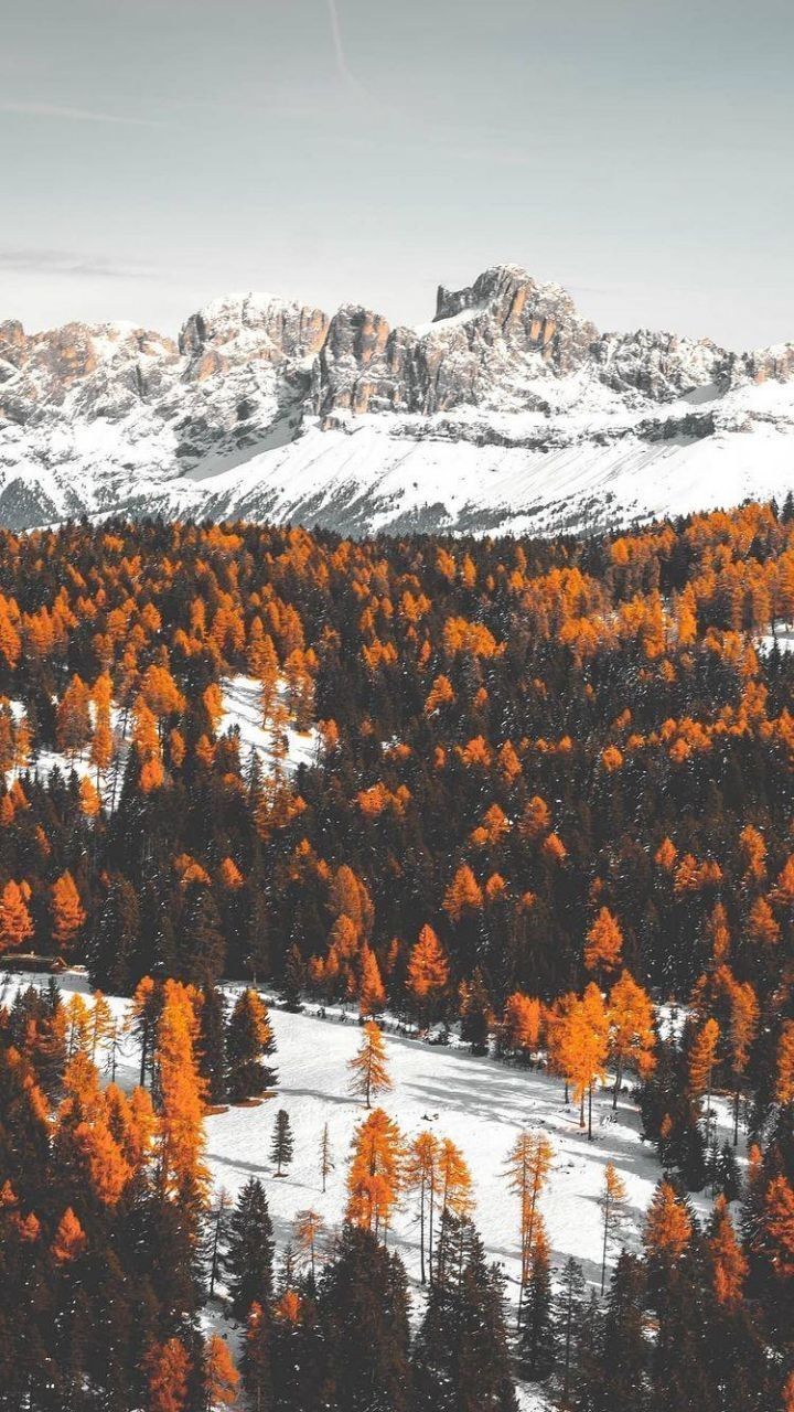 720x1280 Freebies: 60 Fall Wallpaper For Your Phone!