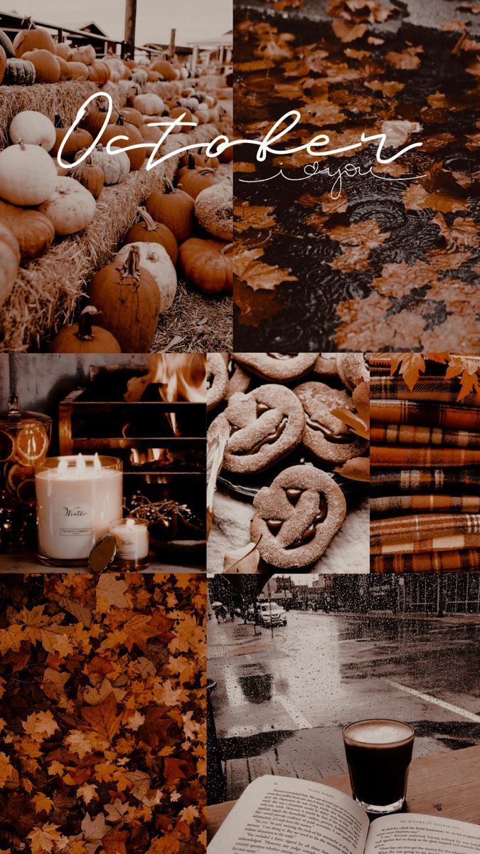 675x1200 Autumn Collage Aesthetic Wallpaper : Love Autumn I Take You. Wedding Readings. Wedding Ideas
