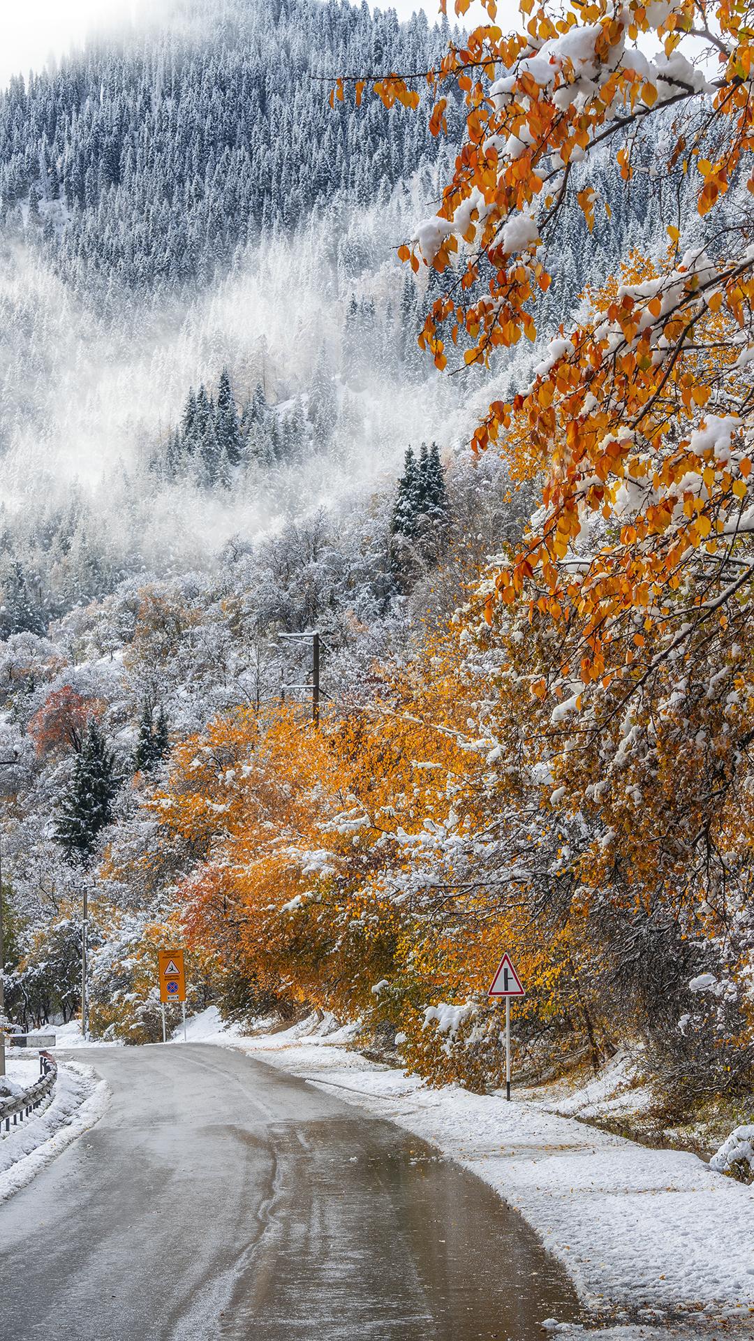 1080x1920 Autumn meets winter in Almaty mountains