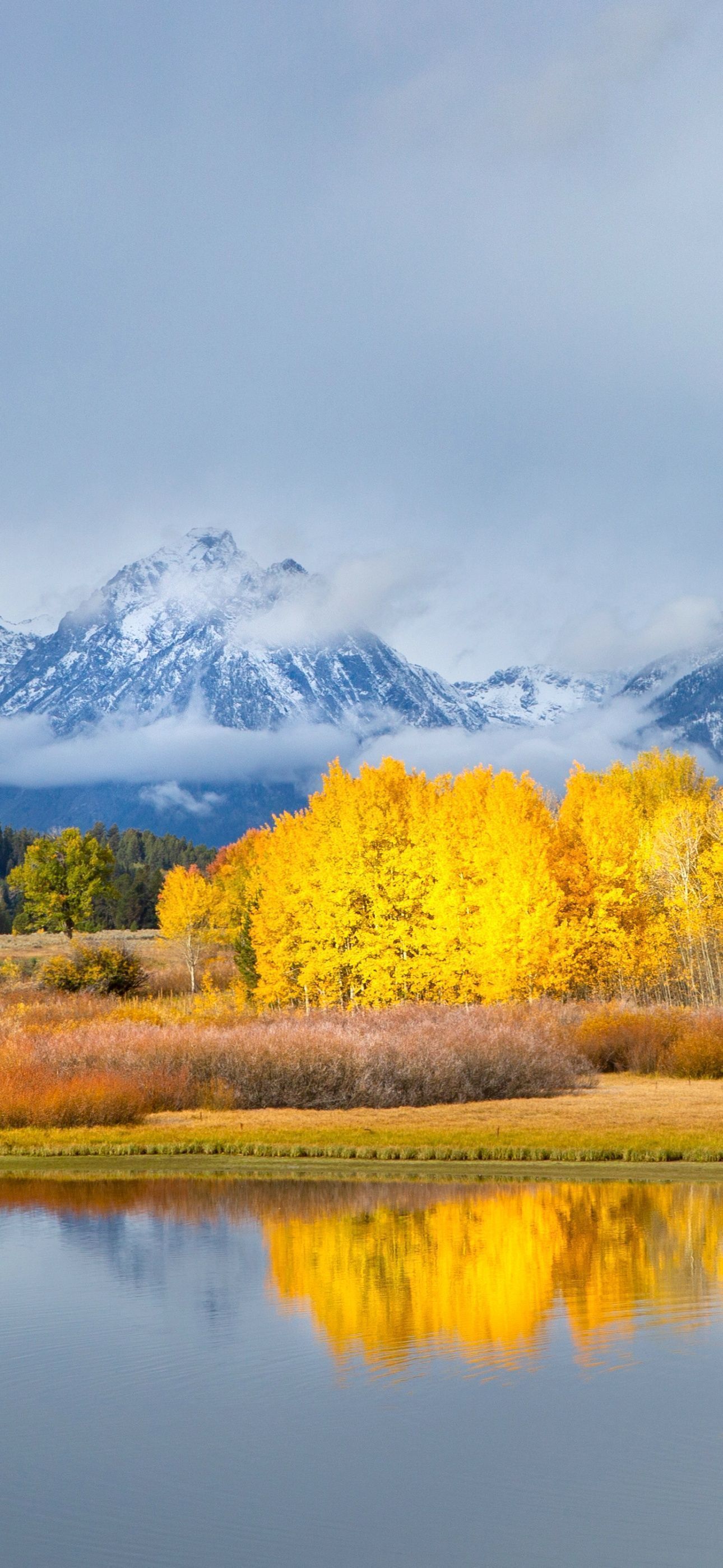 1290x2796 Grand Teton National Park Wallpaper 4K, Autumn, Winter