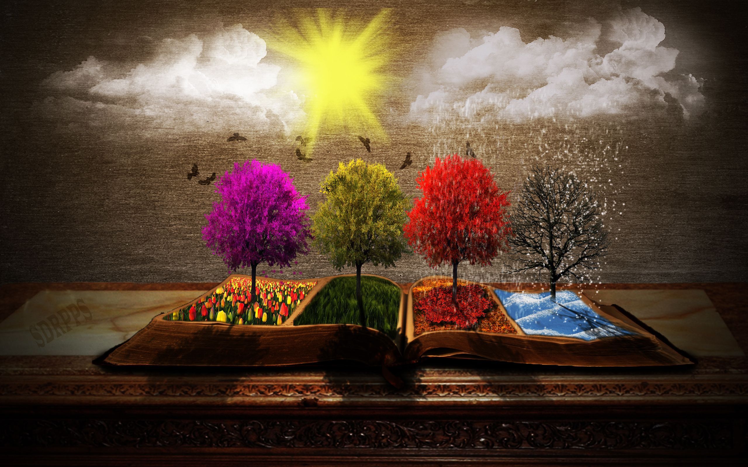 2560x1600 Download wallpaper summer, rain, trees, winter, autumn, clouds, snow, birds, section miscellanea in resolution 2560x1600