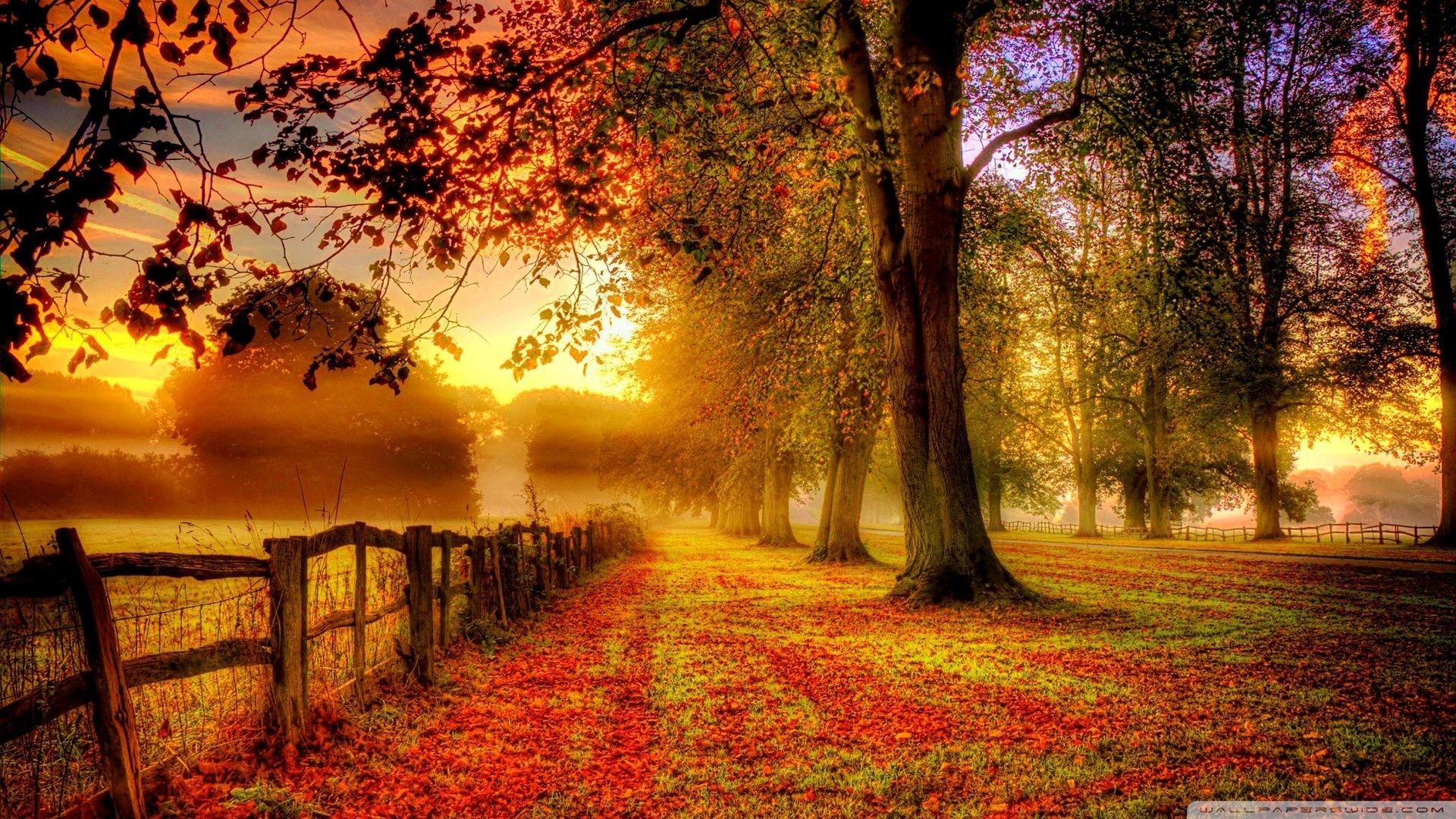 1920x1080 Fall Ultra HD Desktop Background Wallpaper for 4K UHD TV