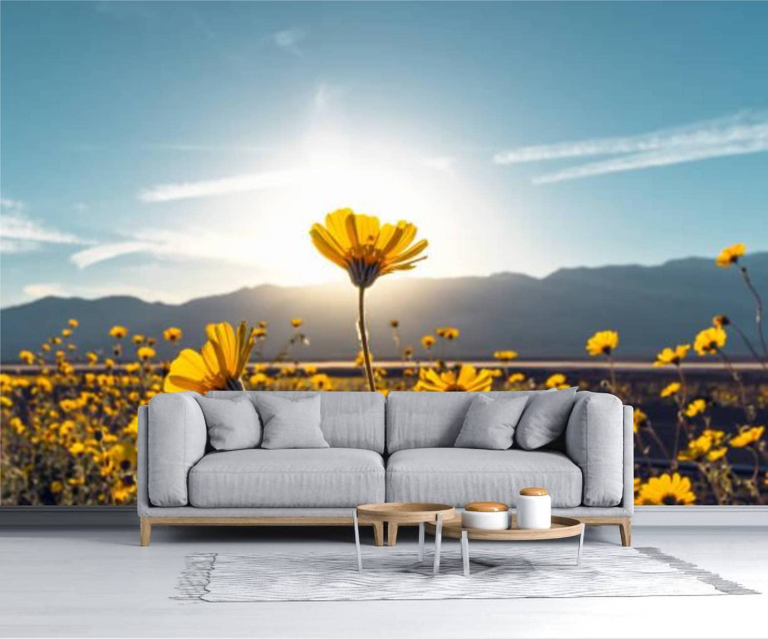 1500x1248 Wallpaper Desert Blossom Sunflowers At Sunset Death Valley National Park Peel & Stick Wallpaper Self Adhesive Removable Wall Mural Poster Sticker Background Wall Decor For Living Room Bedroom : Tools & Home