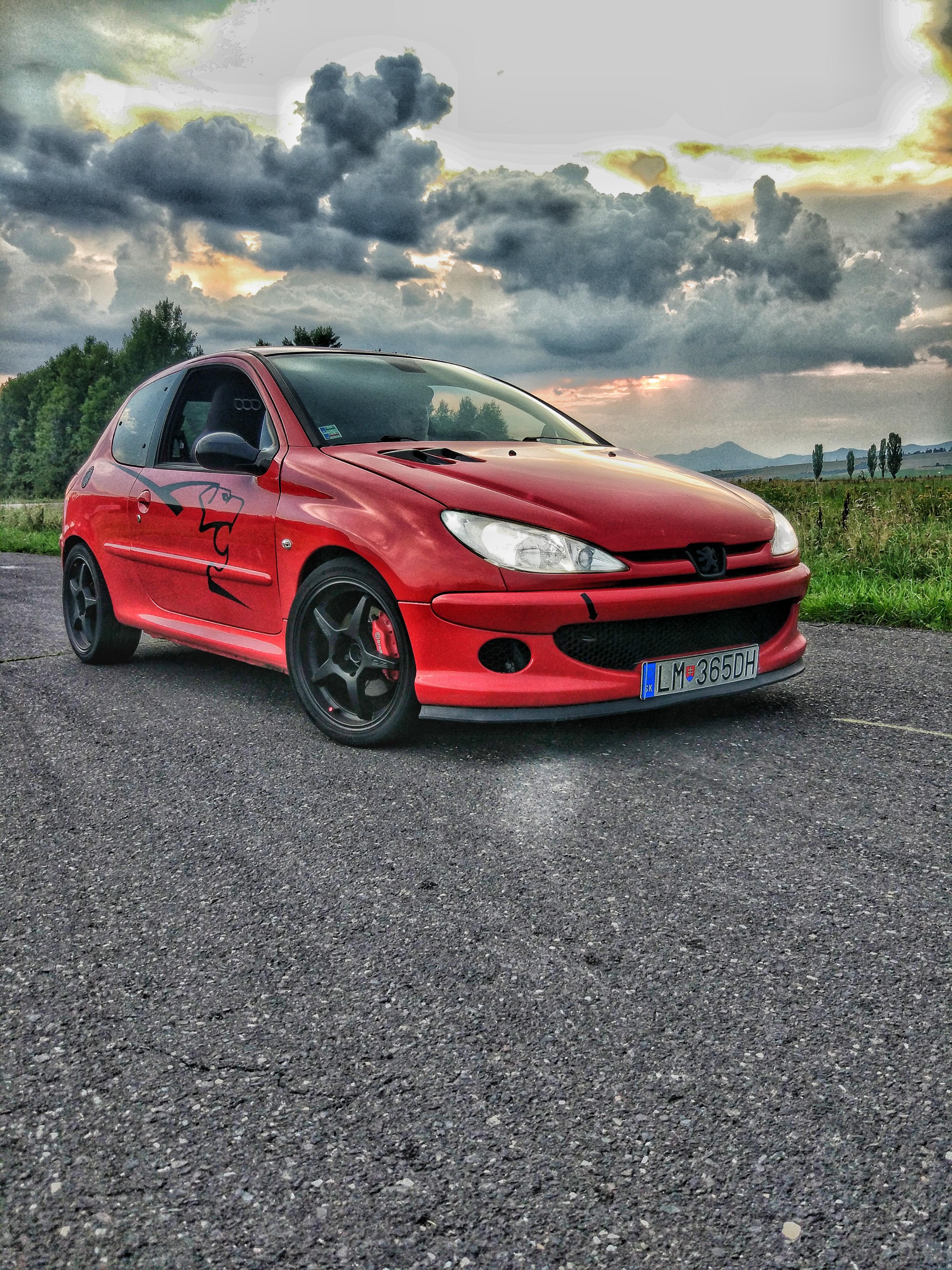 3456x4608 Peugeot 206 GTI 180 Show me what you can do