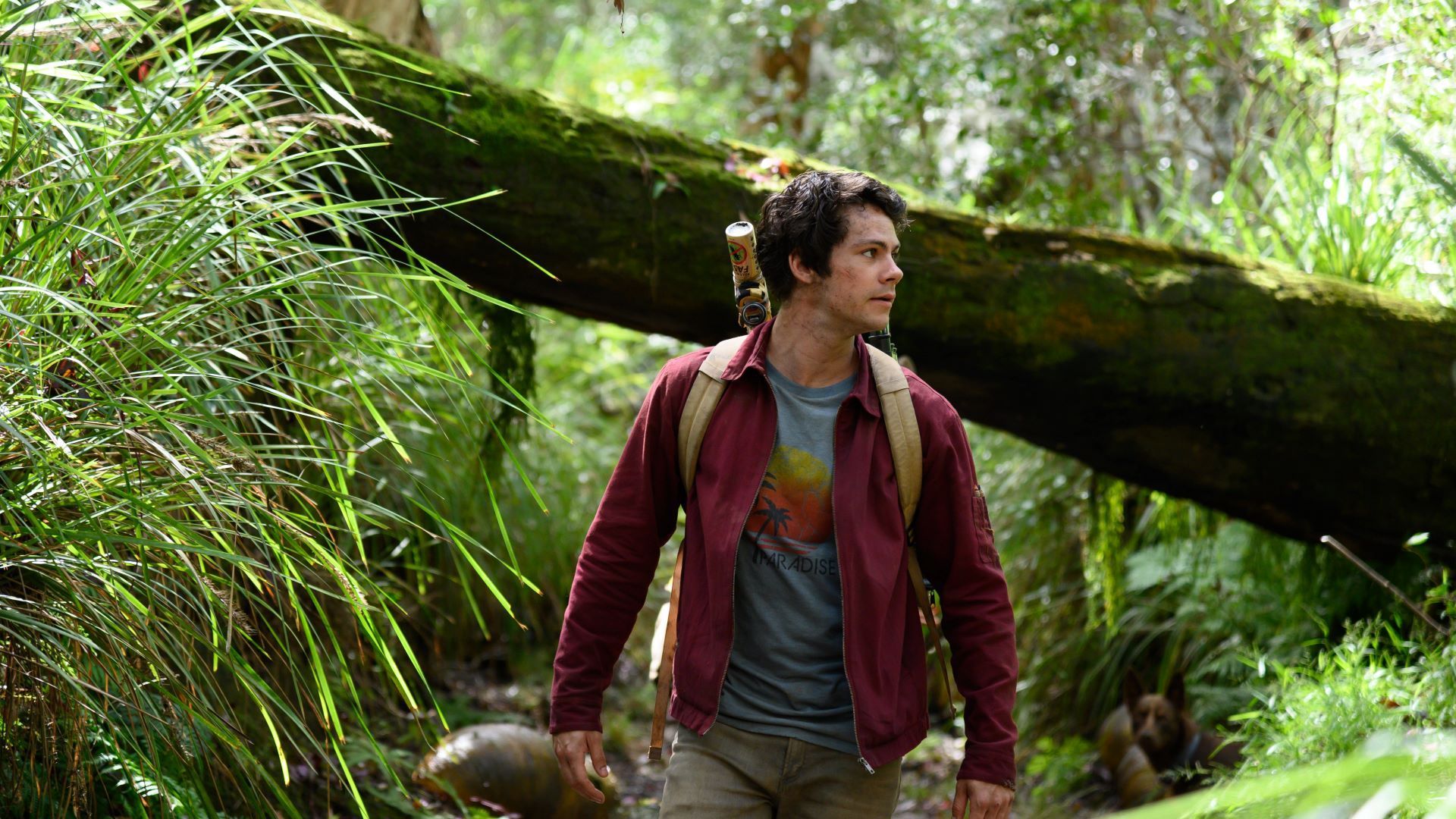 1920x1080 Love And Monsters at an AMC Theatre near you