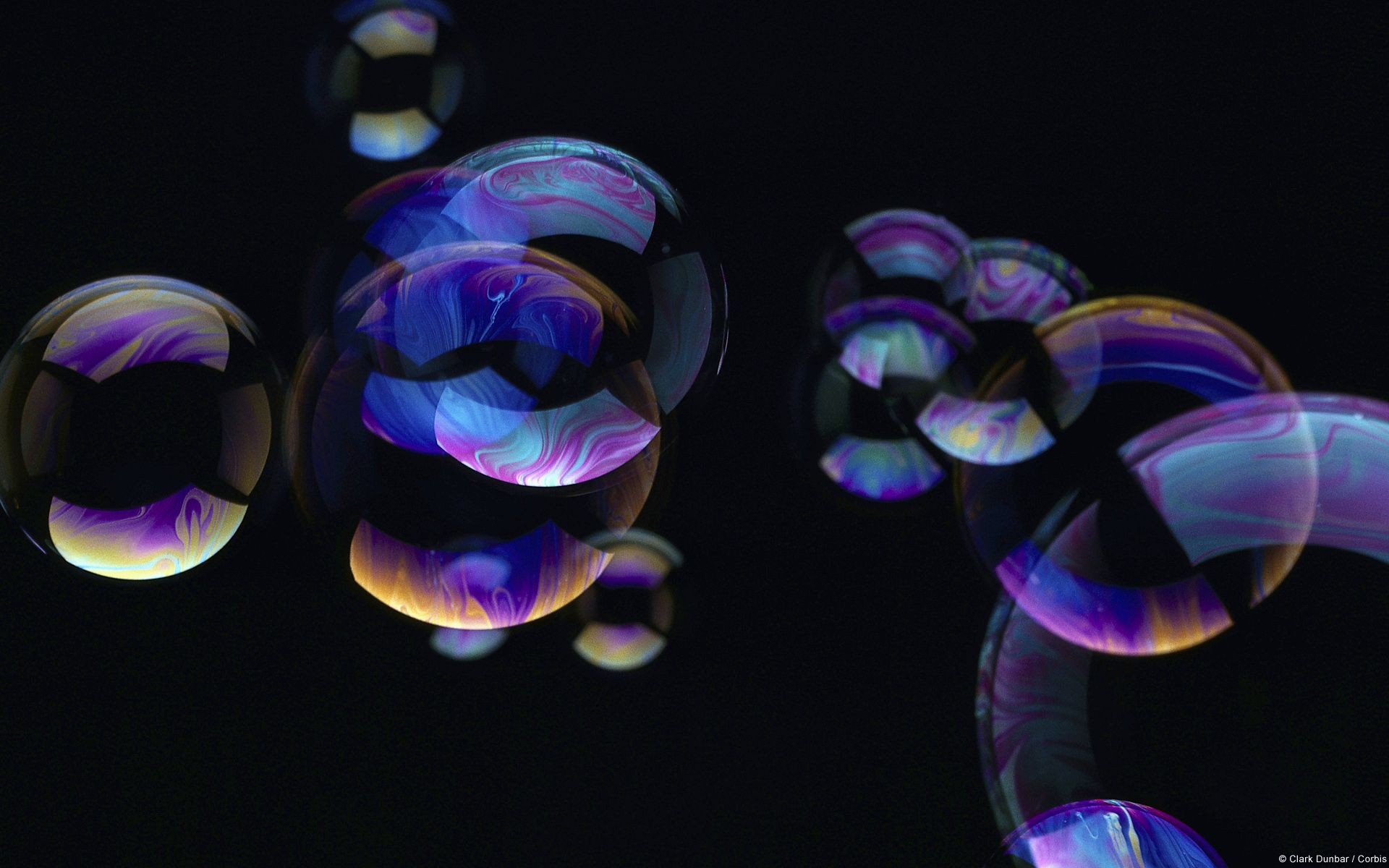 1920x1200 Purple and Blue Bubbles