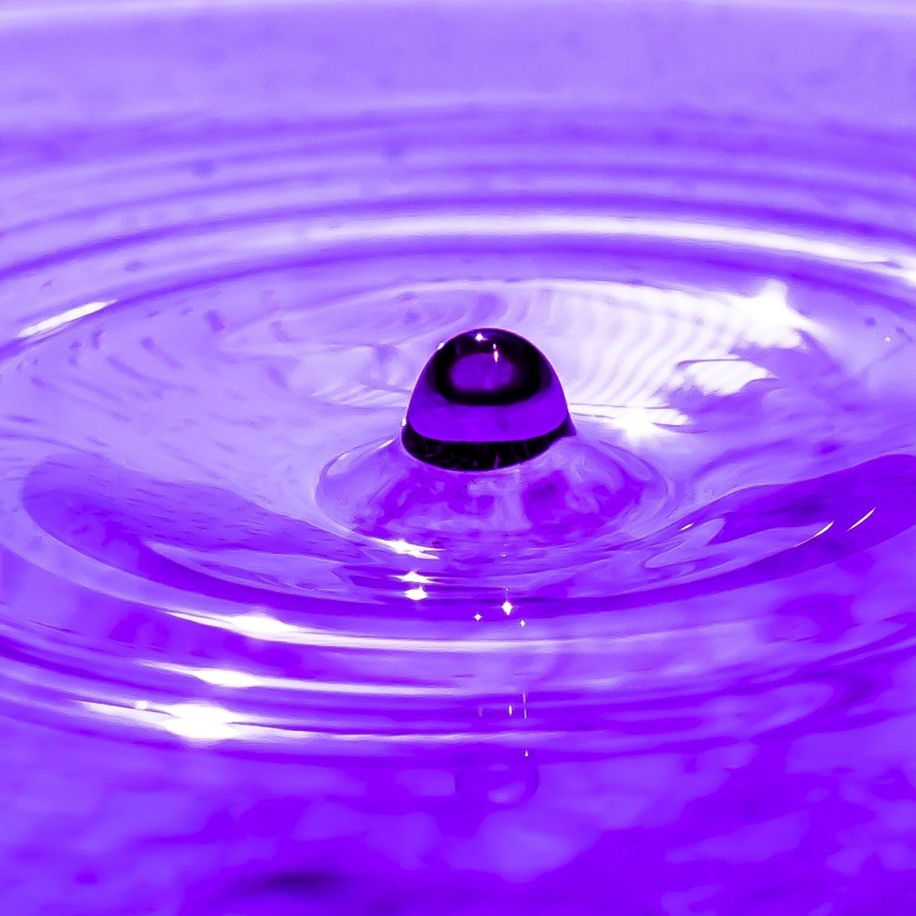 3208x3208 Purple Water Drop Bubble Circle iPad Wallpaper iPad Wallpaper 4k iPad Wallpaper 5k free download iPad Pro, iPad Mini, iPad Air, iOS, iPadOS, Parallax, iPad retina Wallpaper