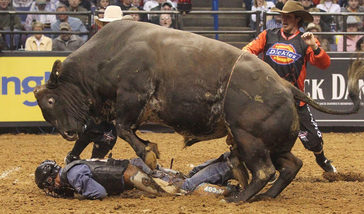 1191x700 Bull Riding Wallpaper