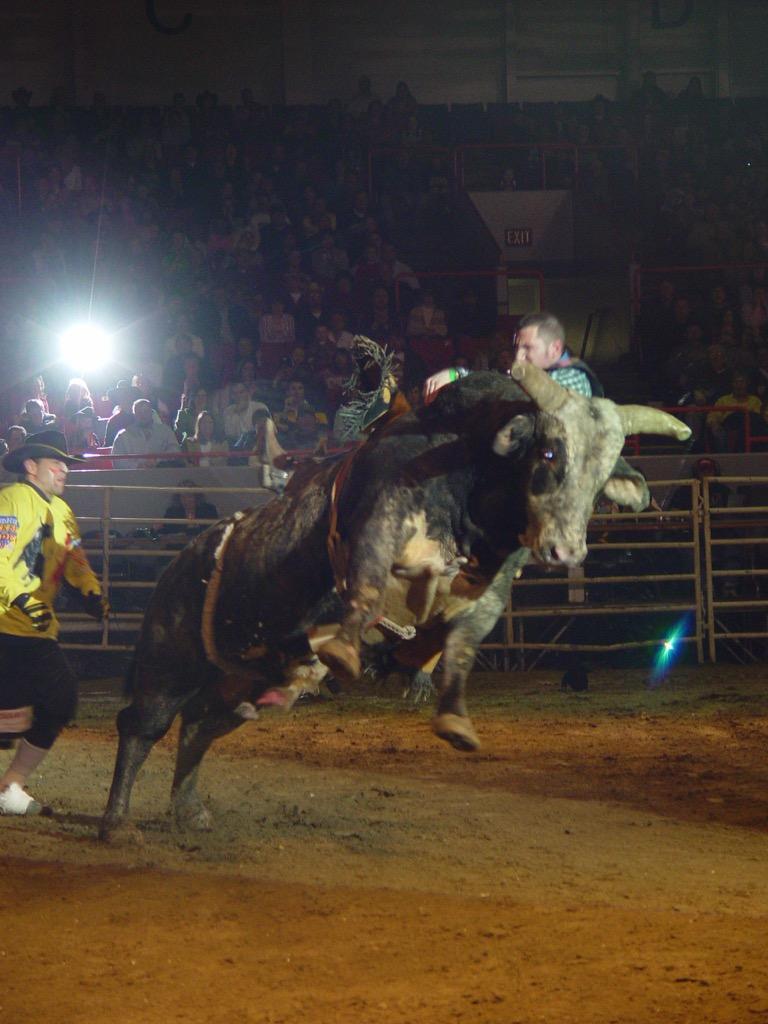 Bull Riding Wallpapers - Top Free Bull Riding Backgrounds - WallpaperAccess