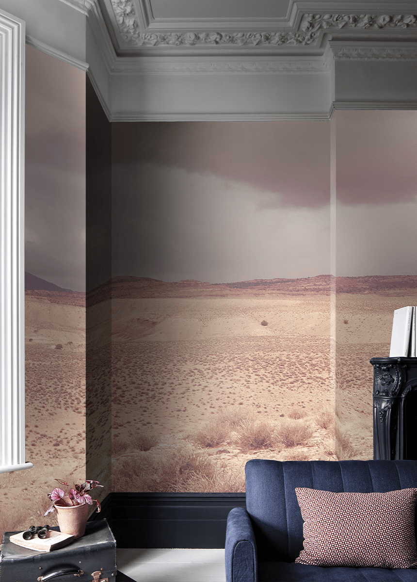 860x1200 Desert Rain' Wallpaper Mural