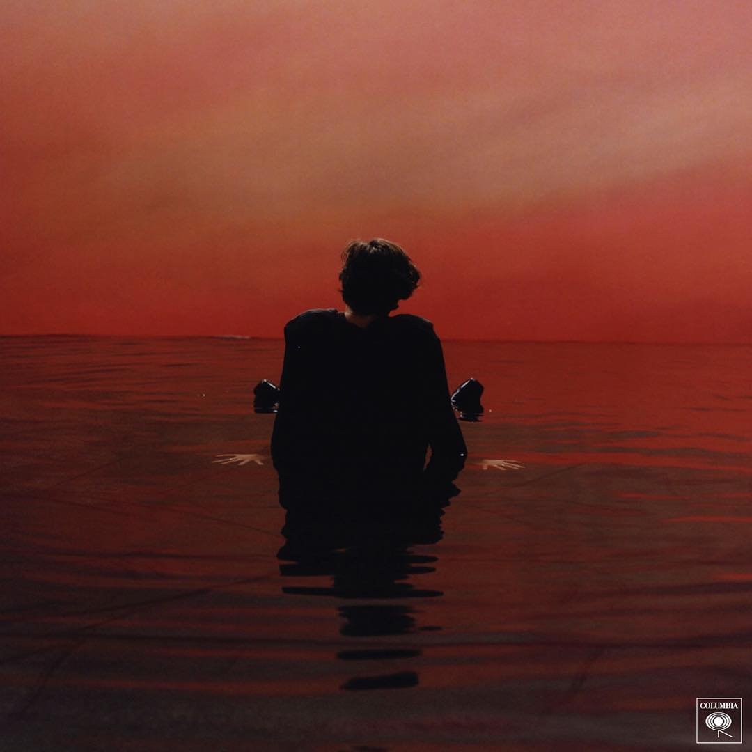 1080x1080 Sign of the Times image and artwork