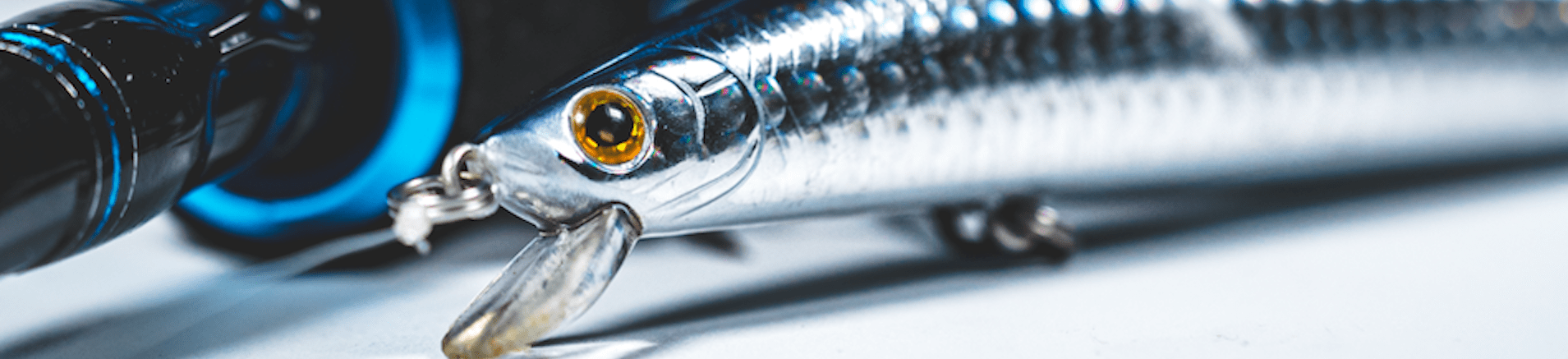 1909x437 TD MINNOW