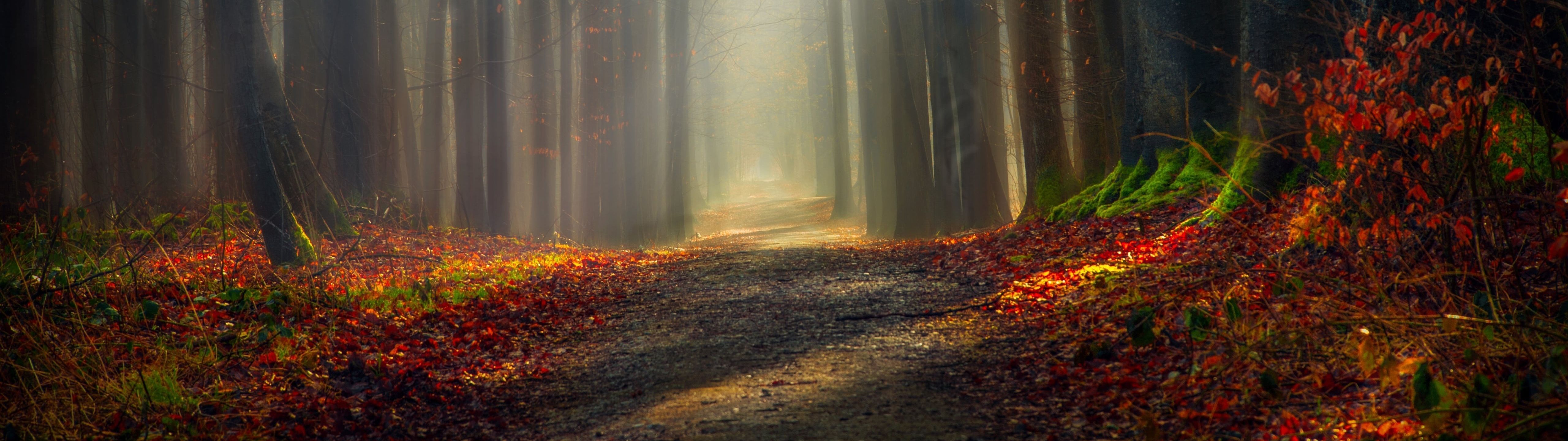 5120x1440 Nature Wallpaper