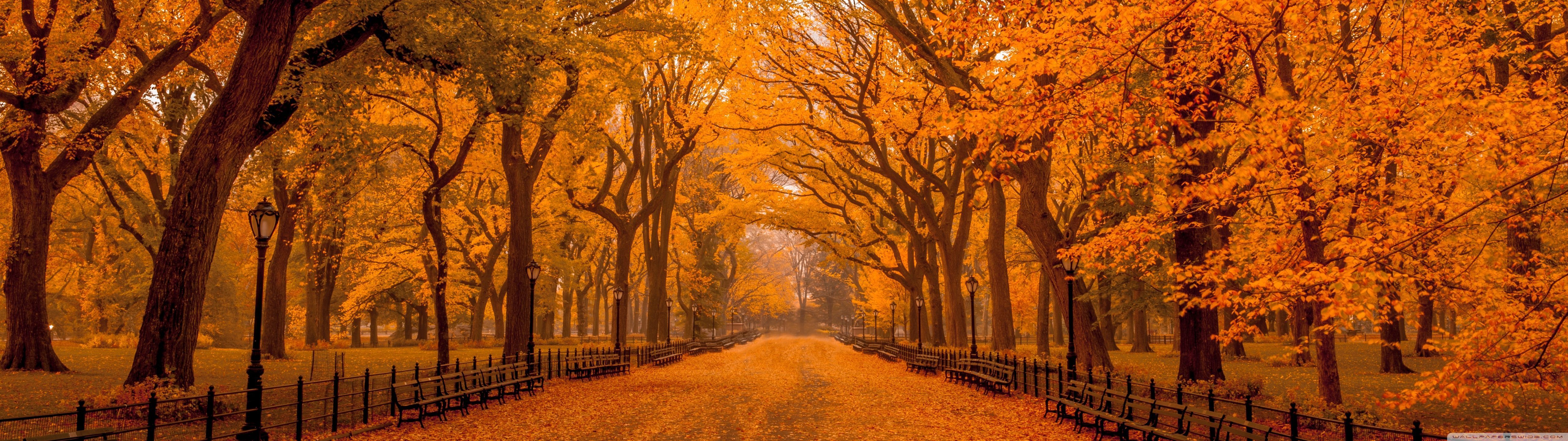 5120x1440 Autumn Wallpaper