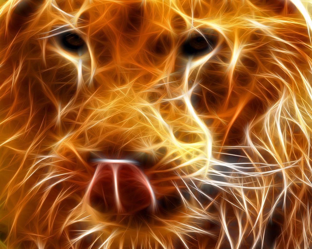 100 Fire Lion Wallpapers  Wallpaperscom