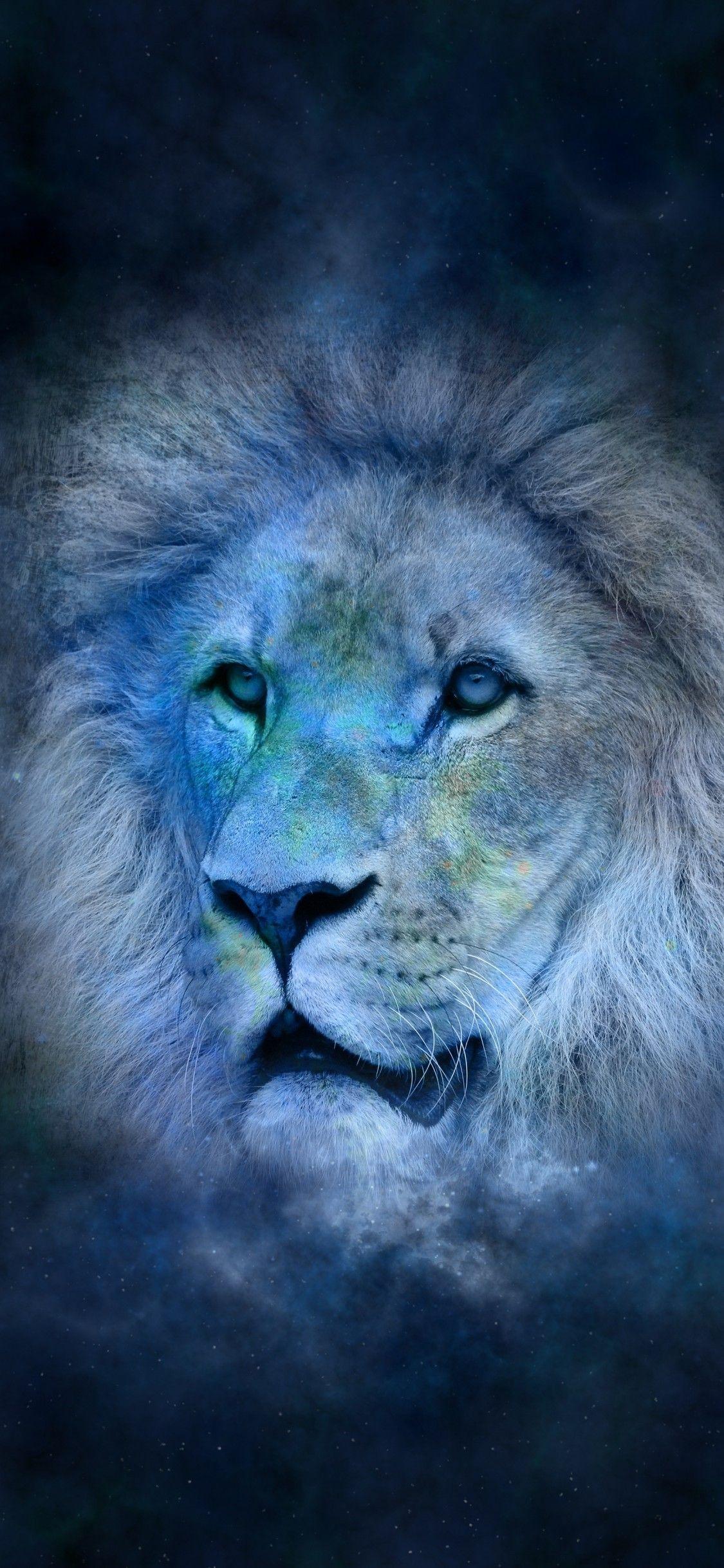 1125x2436 Download 1125x2436 Lion, Space, Digital Art, Photo