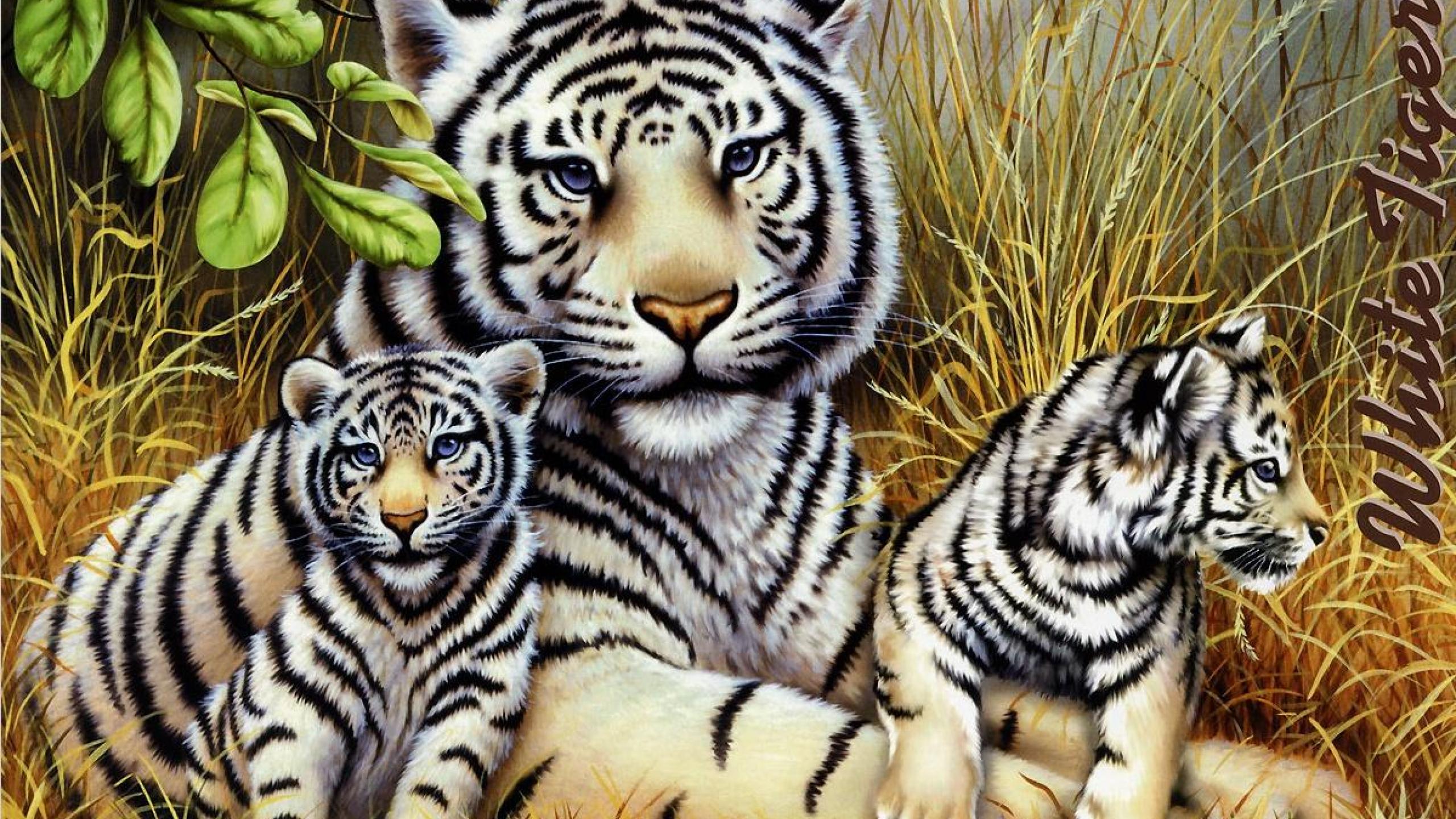 2560x1440 Tiger Family Wallpaper