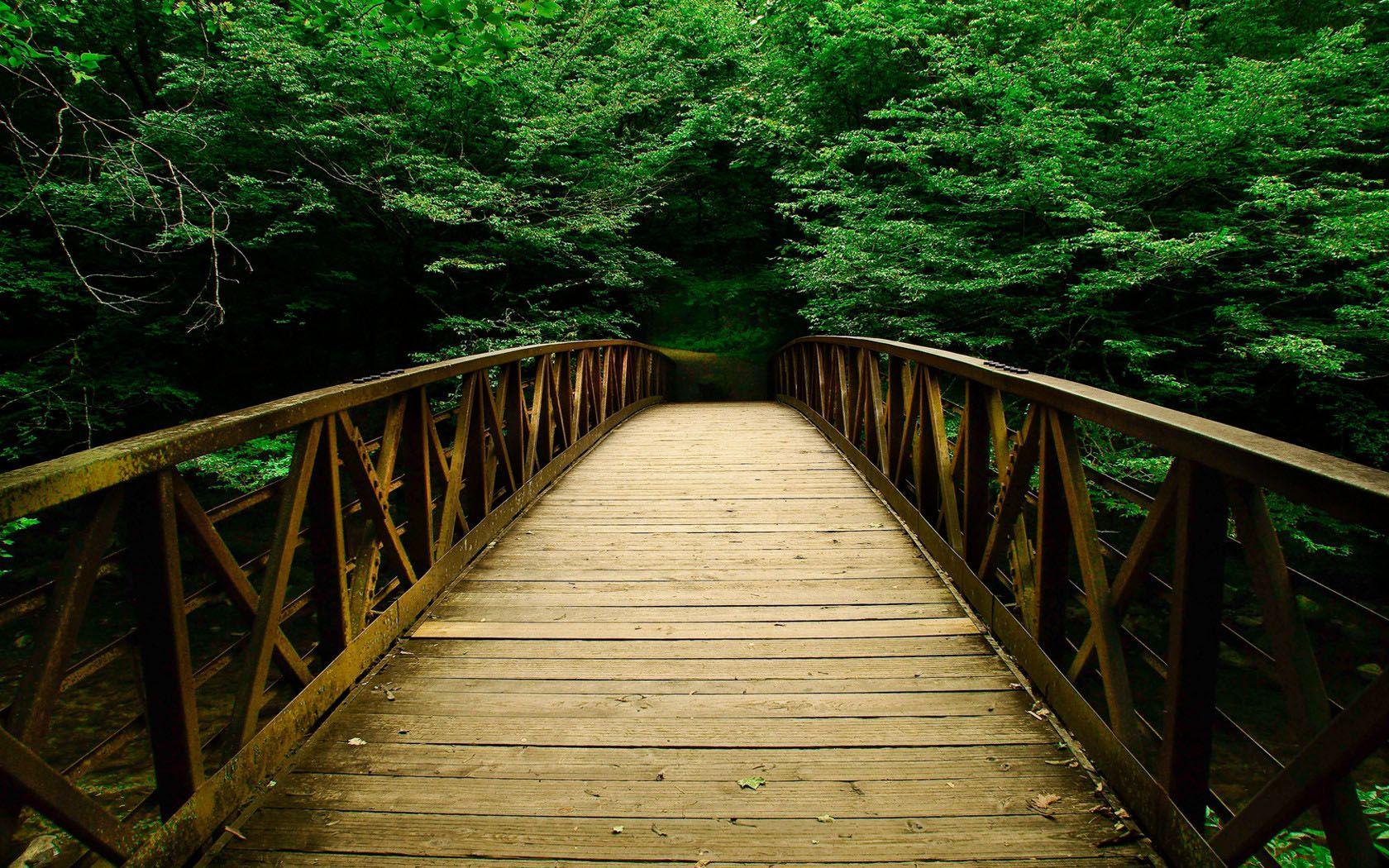 1680x1050 Beautiful Bridge In Green Nature Wallpaper Wid Wallpaper
