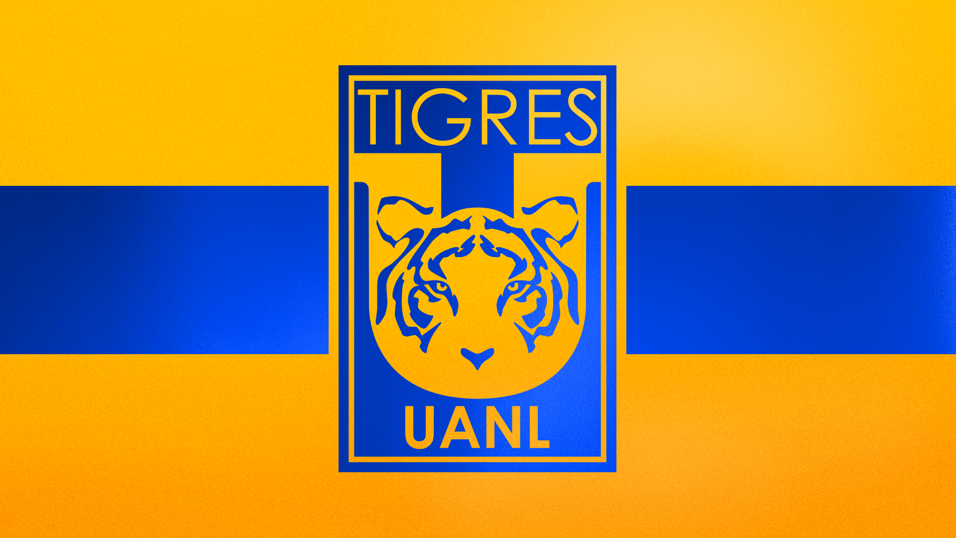 Tigres UANL Wallpapers - Top Free Tigres UANL Backgrounds - WallpaperAccess